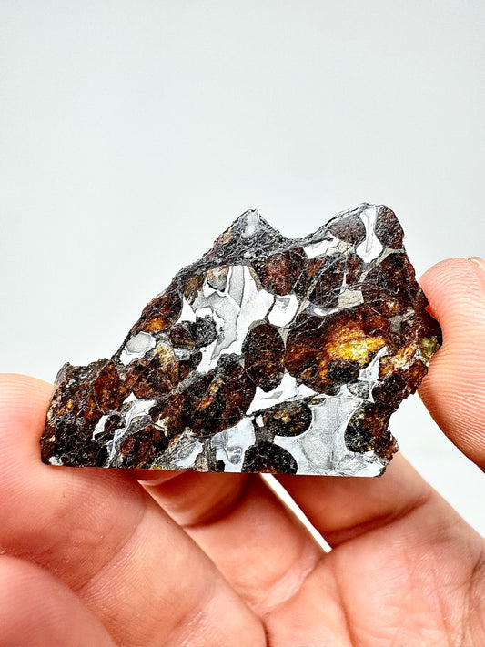 Beautiful Sericho Pallasite Meteorite - 7.0g - From An Asteroid