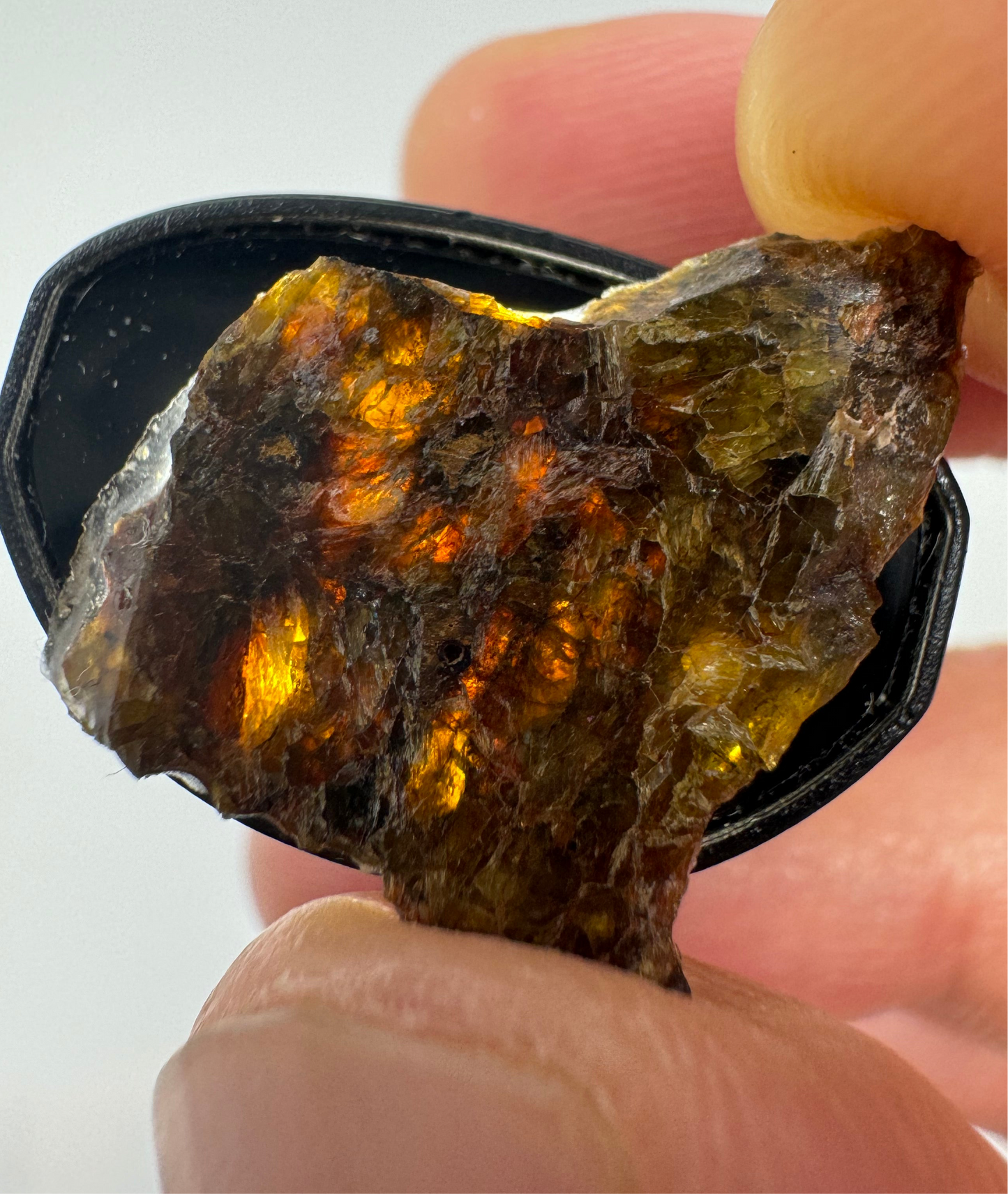 NWA 7831 Beautiful Semi Translucent Diogenite Meteorite - 1.2g - Parent Body: Asteroid Vesta