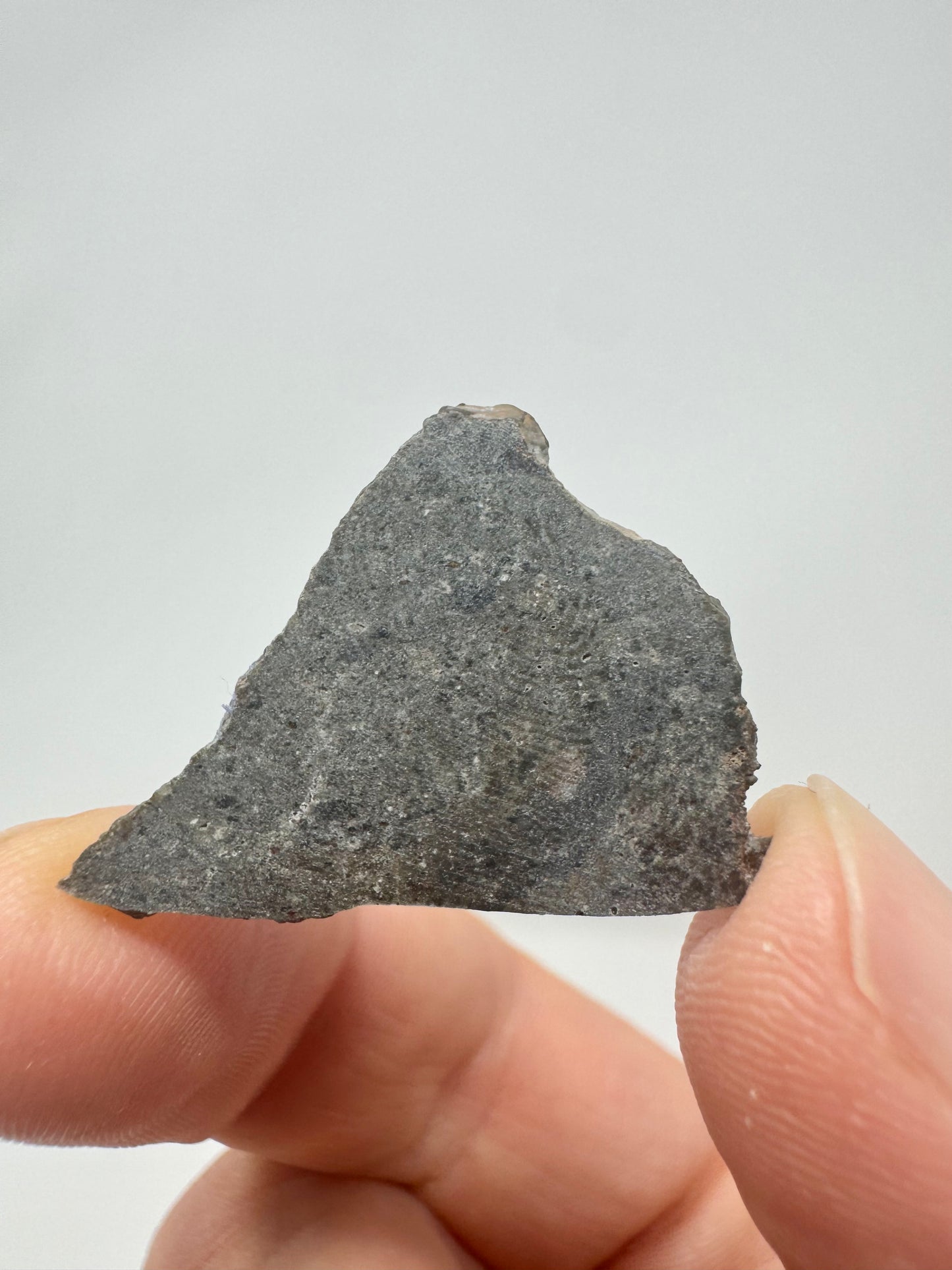 NEW! Rare Lunar Troctolite - 1.9g - Lunar Meteorite From Deep Within The Moon’s Crust