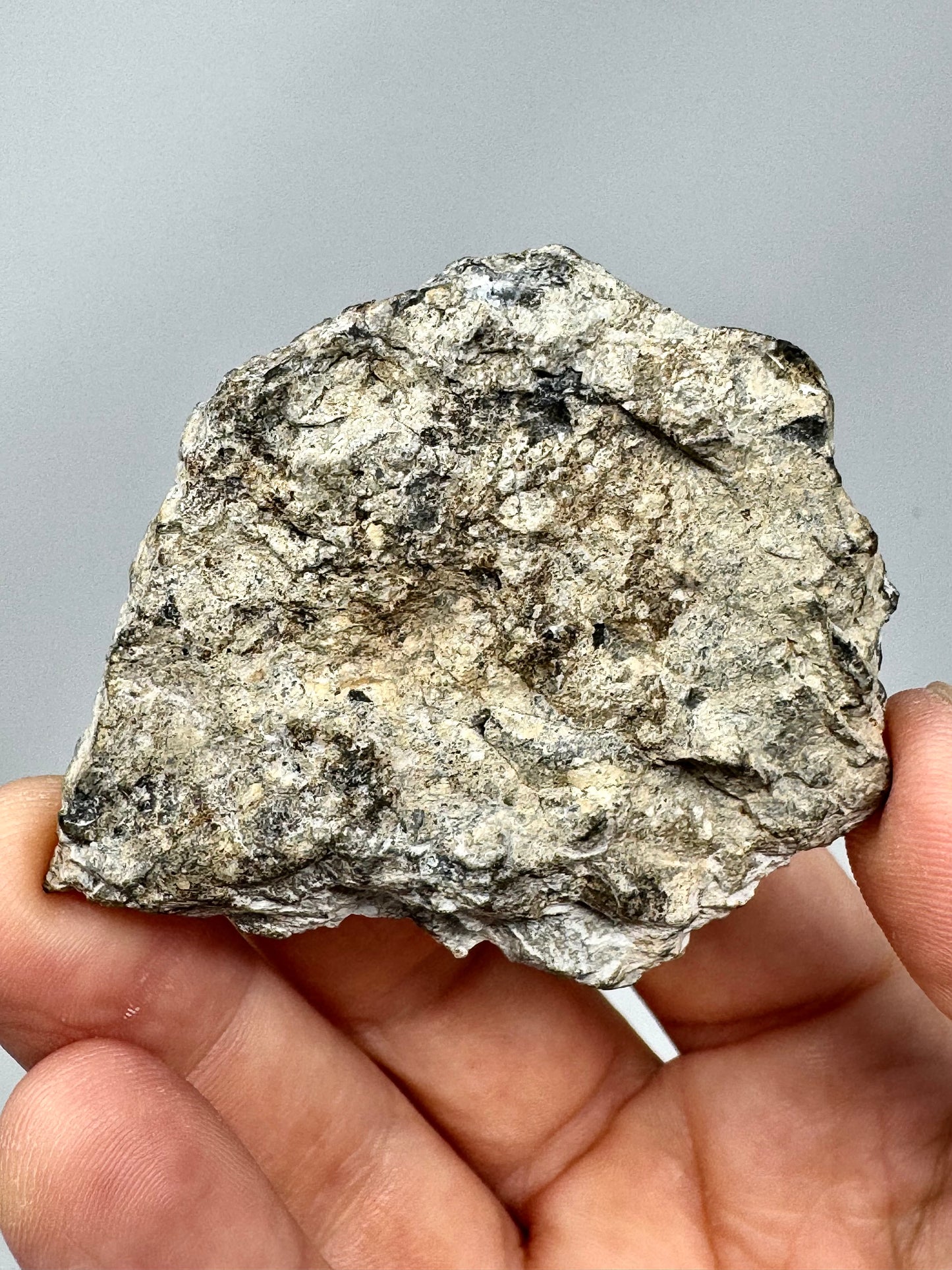 27.3g NWA 17270 Lunar Melt Breccia Meteorite END CUT - From Our Moon!