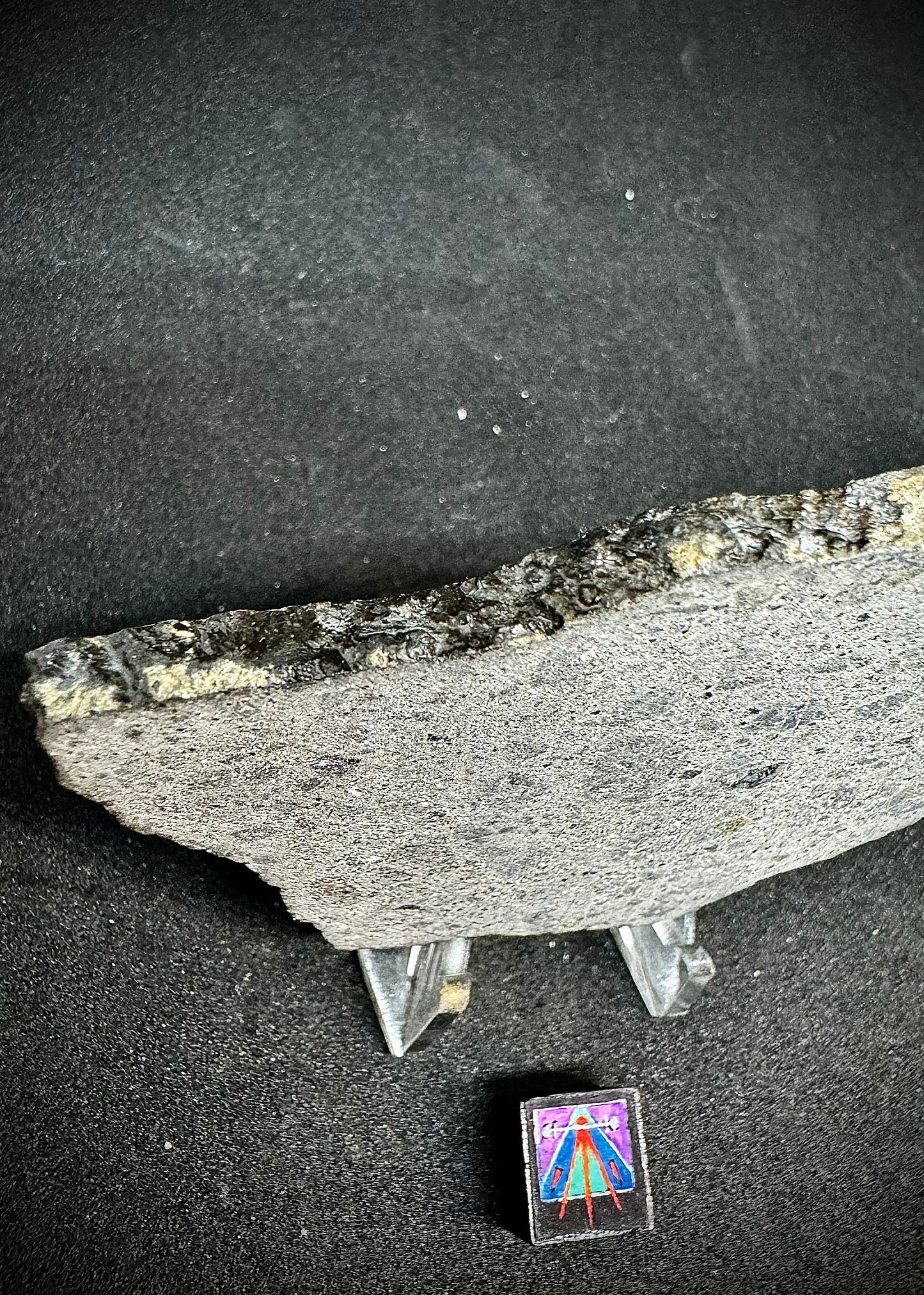NWA 2690 - A Howardite/Eucrite Mix! 31.9g, Full Slice