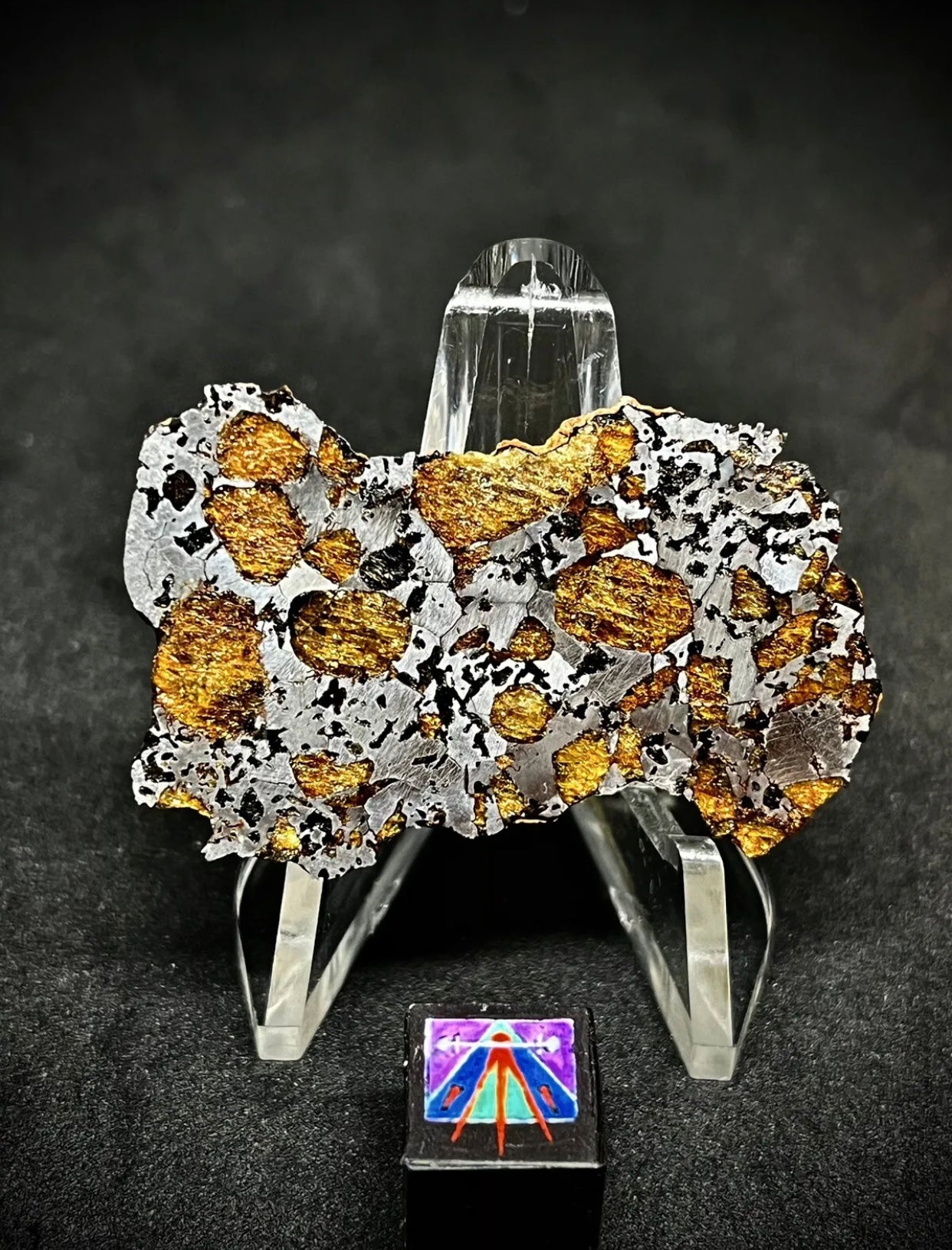 Hassi El Biod 002 Meteorite 14.7g End Cut - A Rare, Ungrouped Olivine-Filled Pallasite!