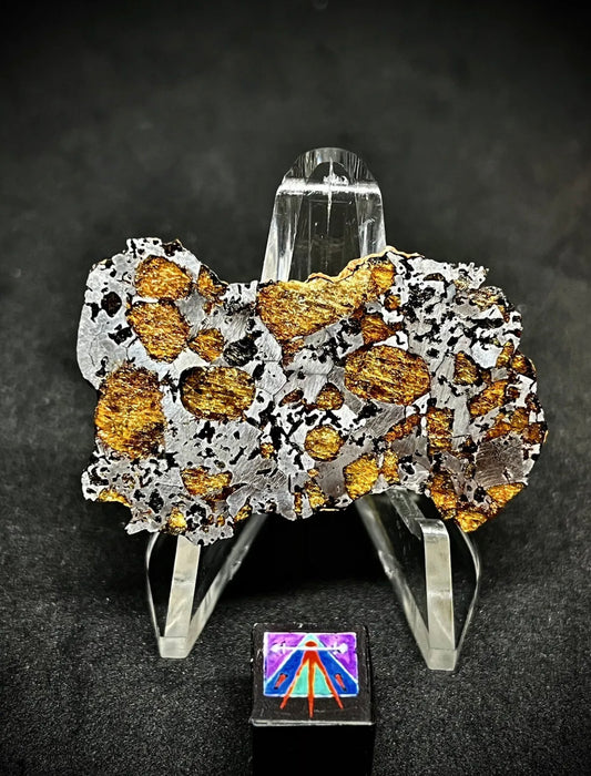 Hassi El Biod 002 Meteorite 14.7g End Cut - A Rare, Ungrouped Olivine-Filled Pallasite!