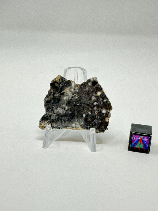 Bechar 003 Lunar Feldspathic Breccia - 4.8g - Full Slice/Polished on One Side