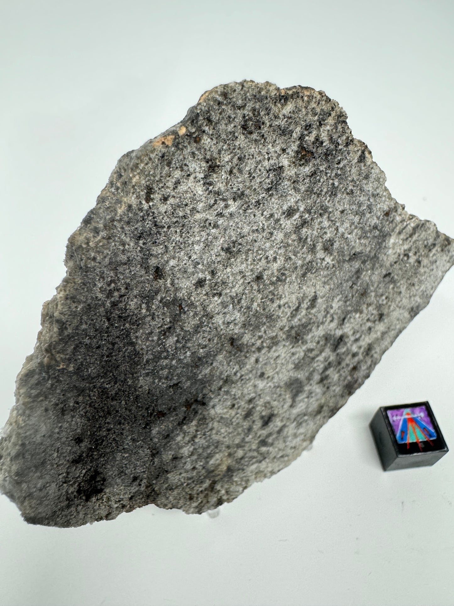 Ksar Ghilane 022 Ungrouped Achondrite End Cut - 98.4g - A Meteorite That’s About To Make History!