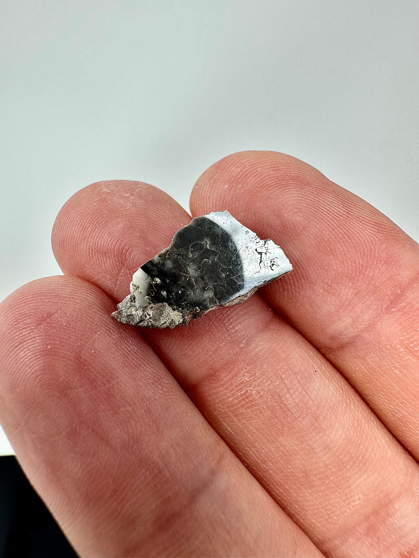 0.8g Adrar 017 Lunar Meteorite - A Rare Gabbro/Norite - From Our Moon!