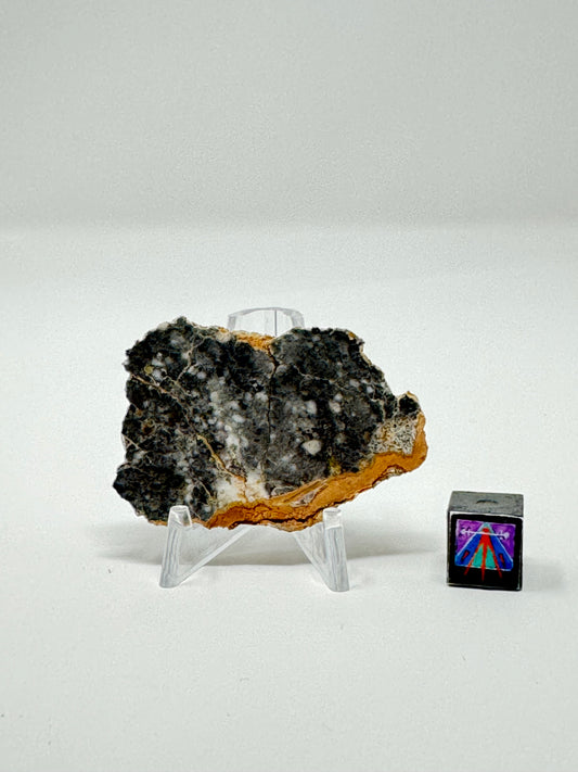 Bechar 003 Lunar Feldspathic Breccia - 6.5g - Full Slice/Polished on One Side