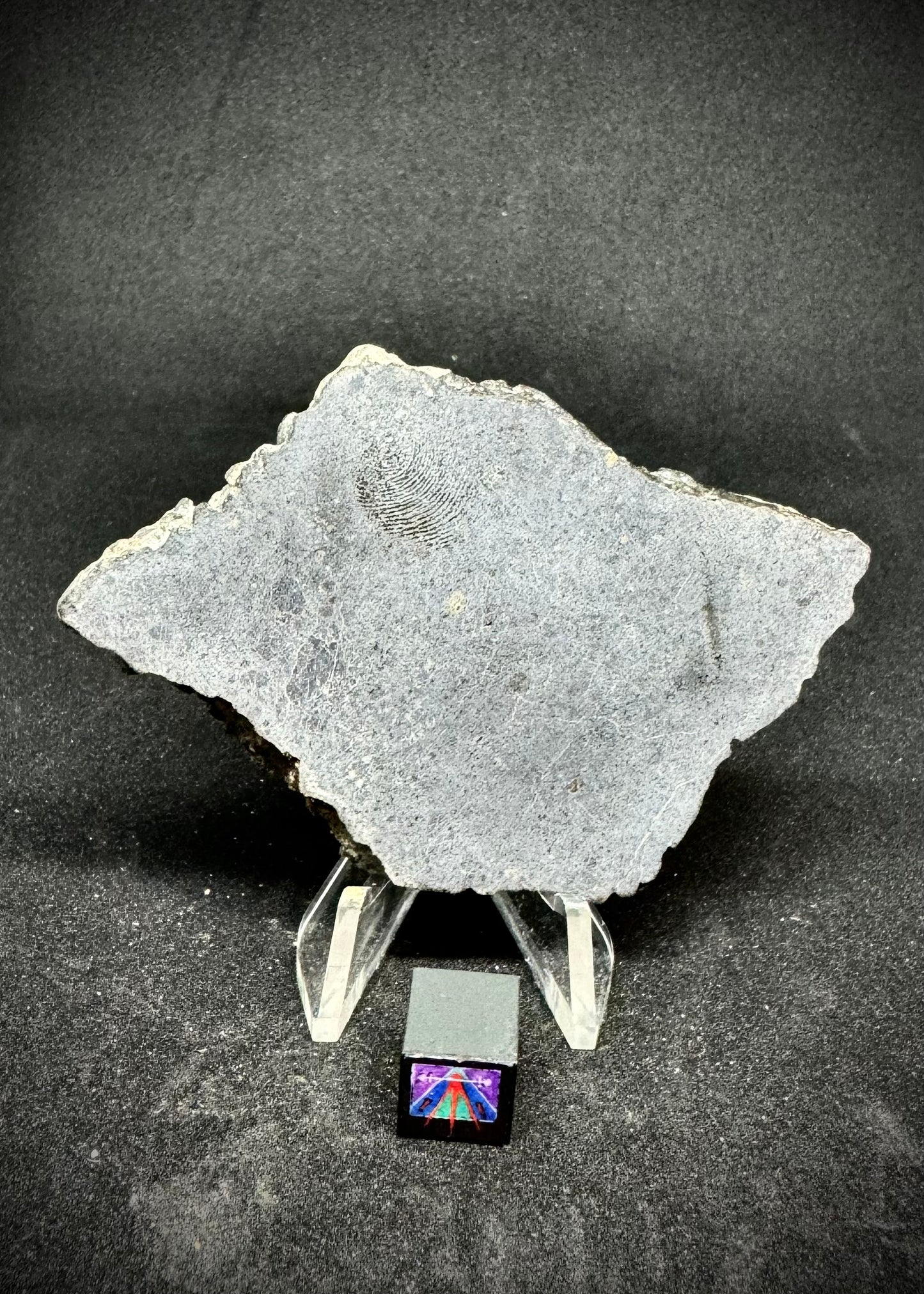 NWA 2690 - A Howardite/Eucrite Mix! 31.9g, Full Slice