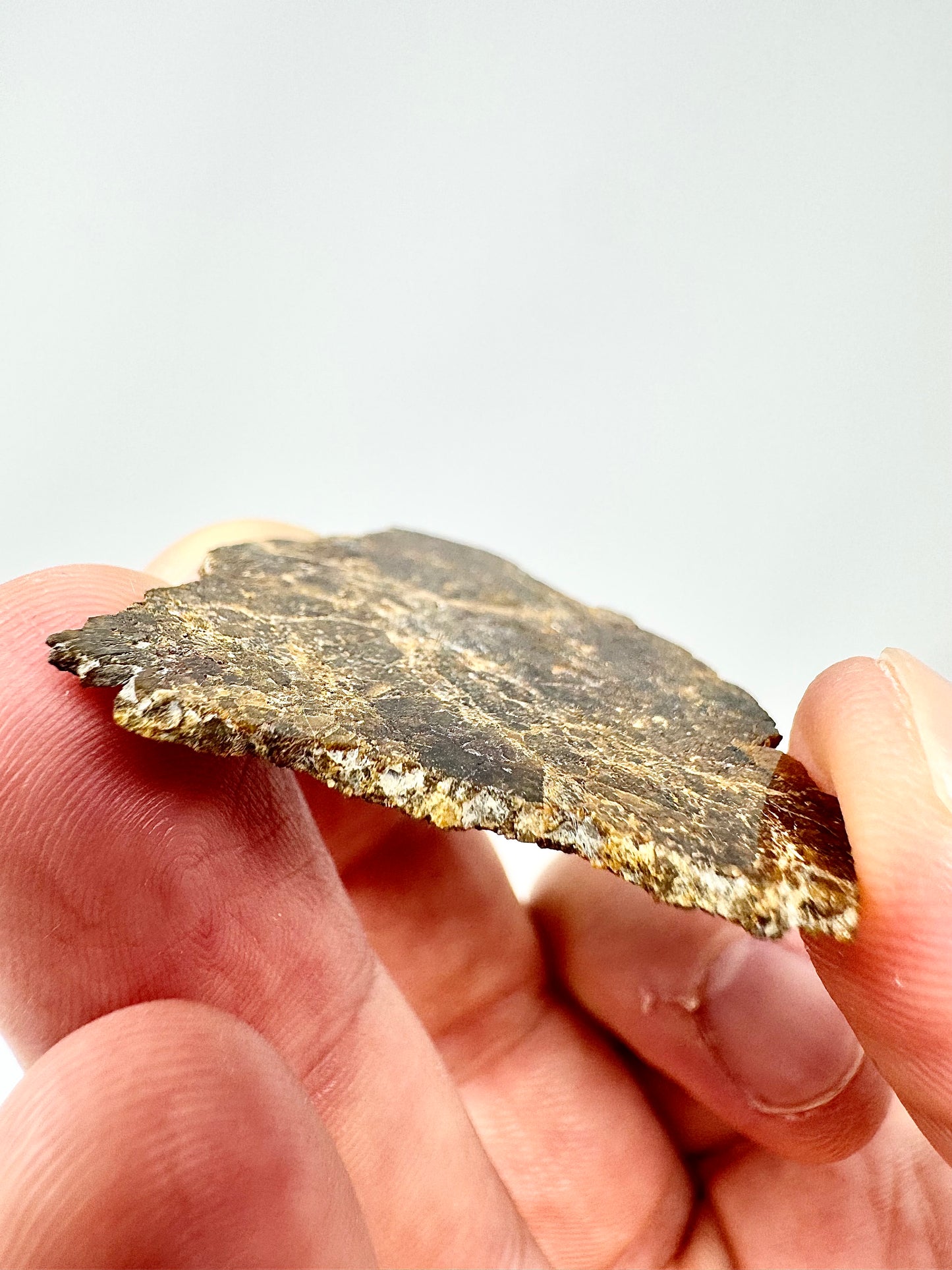 5.1g NWA 16317 Translucent Diogenite Meteorite - Parent Body: Asteroid Vesta