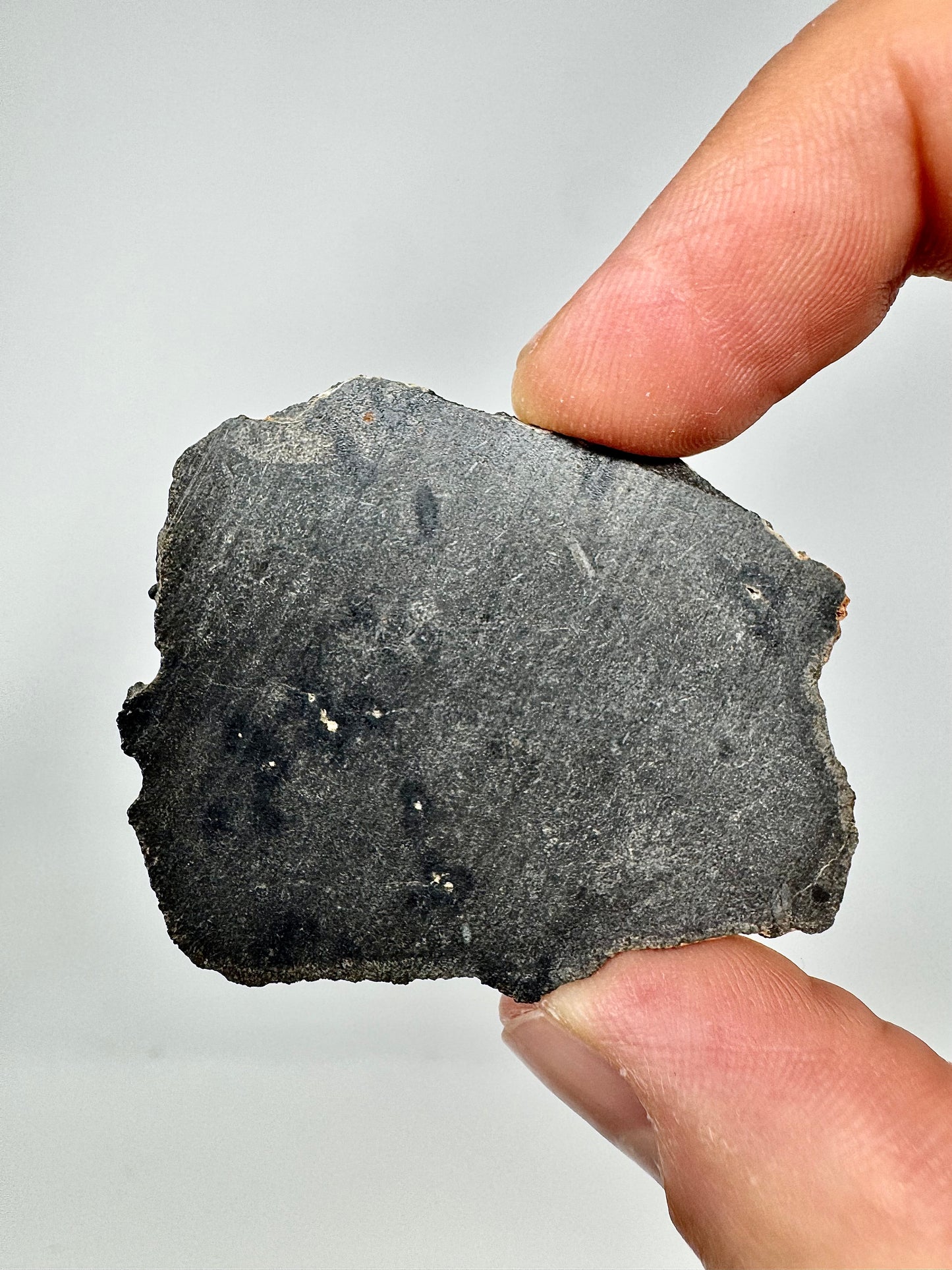 12.2g Genuine Martian Meteorite with Aqueous Alteration - NWA 18281 - Scientifically Studied Rock From Planet Mars