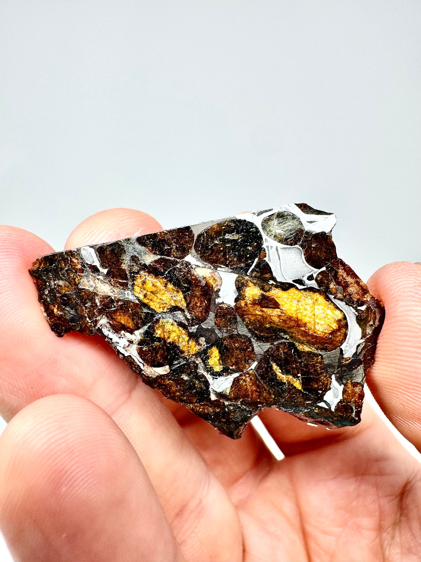 Beautiful Sericho Pallasite Meteorite - 7.0g - From An Asteroid