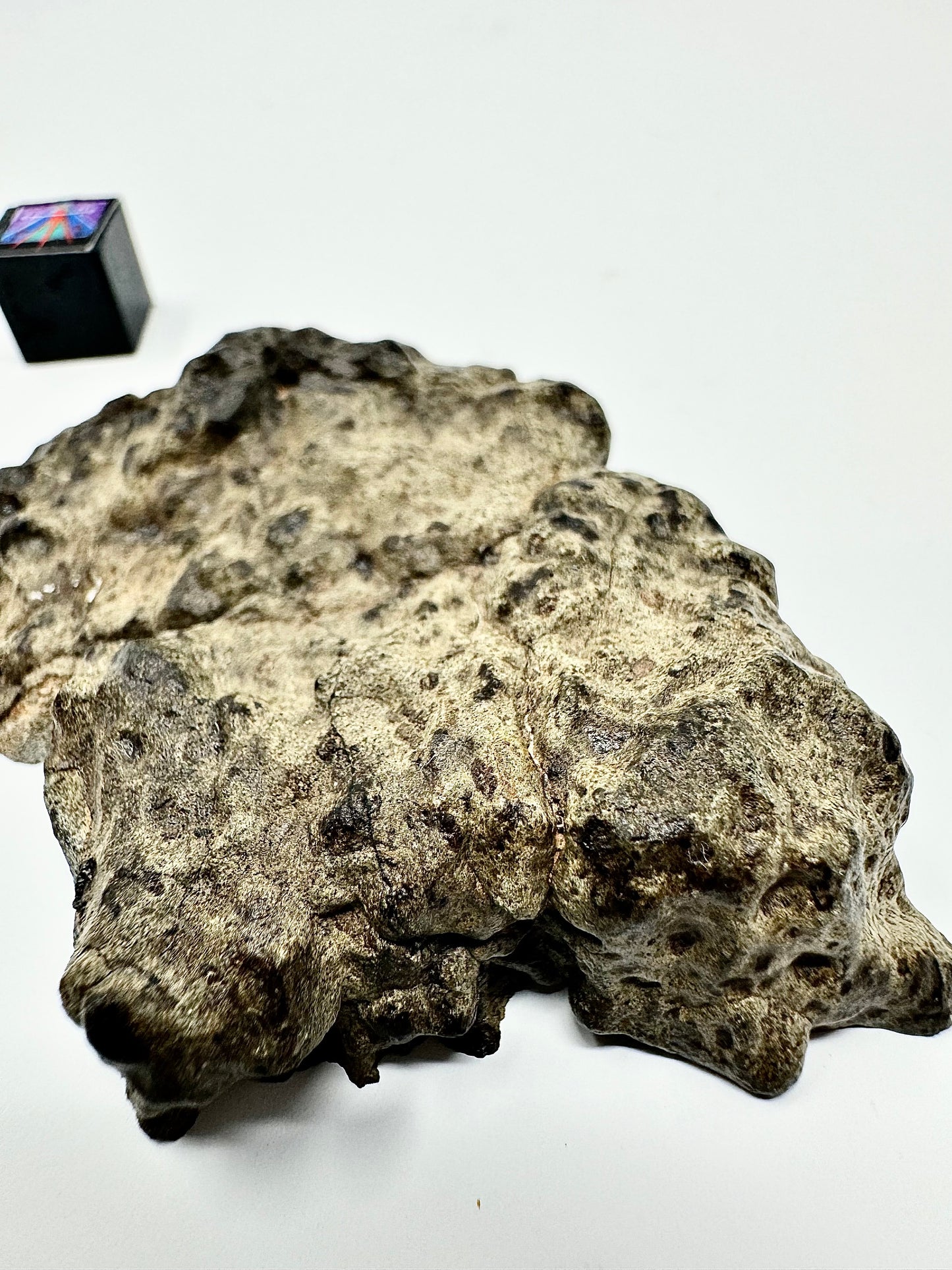 49.8g Genuine Martian Meteorite Amgala 001 End Cut - Scientifically Studied Rock From Planet Mars