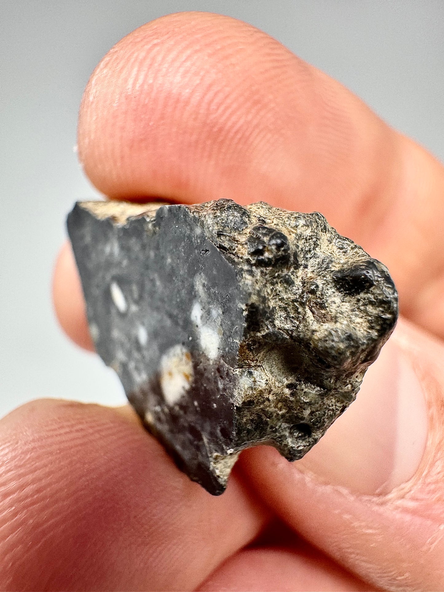 Bechar 003 Lunar Feldspathic Breccia- END CUT - 3.1g - A Piece Of Our Moon!