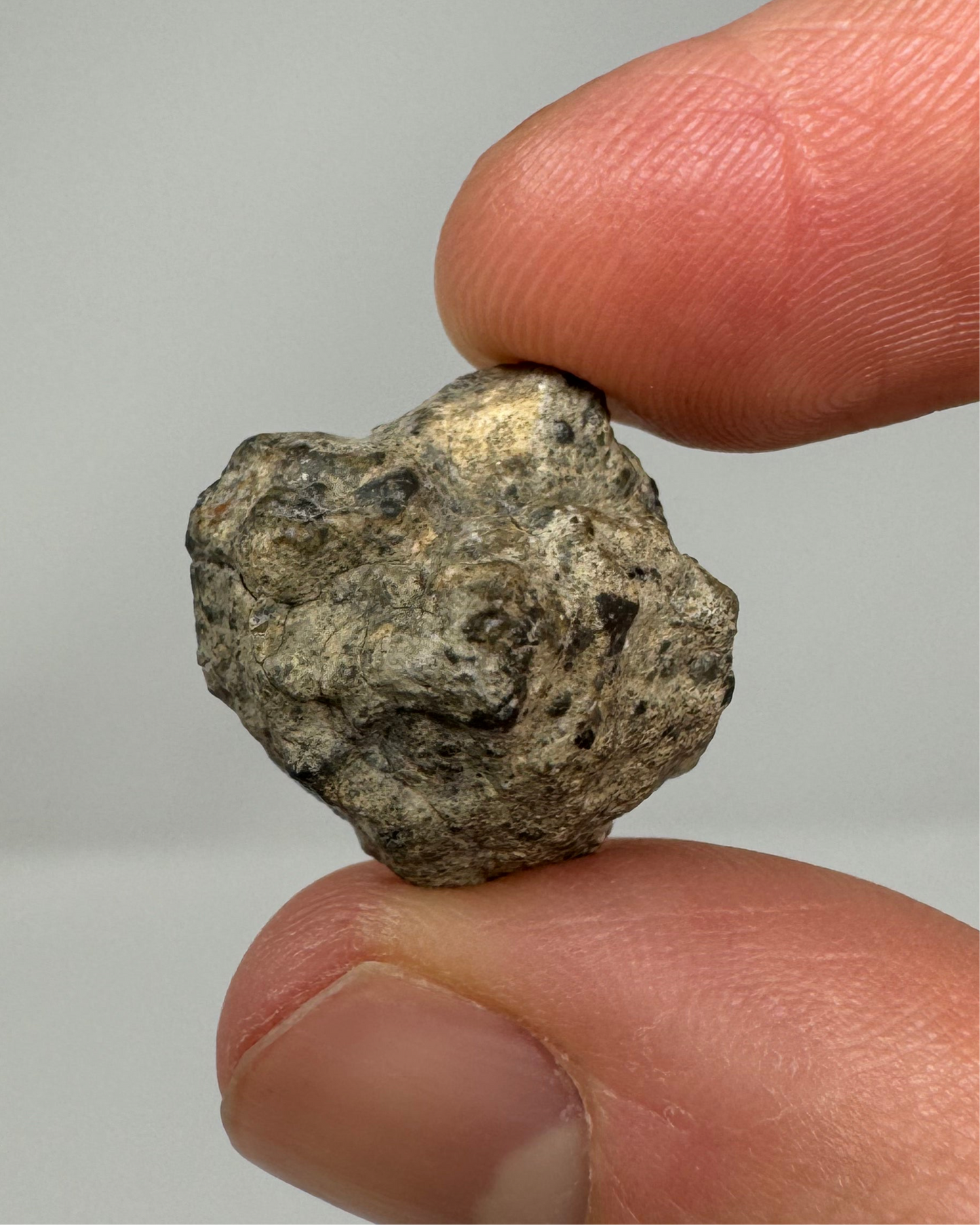 Bechar 003 Lunar Feldspathic Breccia End Cut - 4.1g - Polished