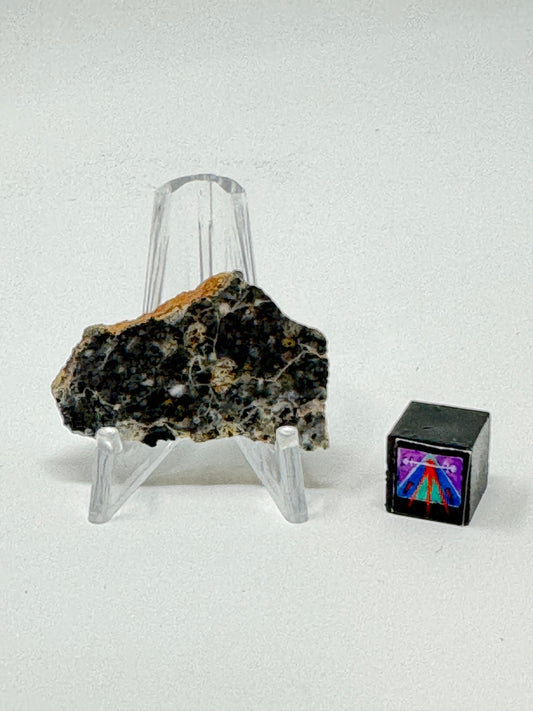 Bechar 003 Lunar Feldspathic Breccia - 3.7g - Polished on One Side