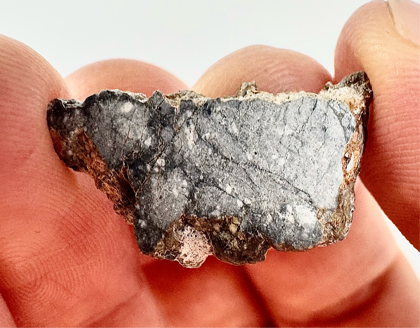 Gadamis 003 Lunar Meteorite - Ferroan Anorthosite, Cataclastic - “The Apollo Lunar” - 1.3g