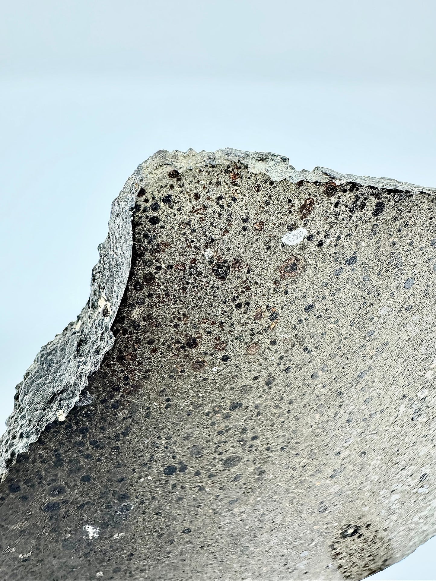 NWA 16314 Carbonaceous Chondrite CK5 Meteorite End Cut w/ Fusion Crust - 281.6g