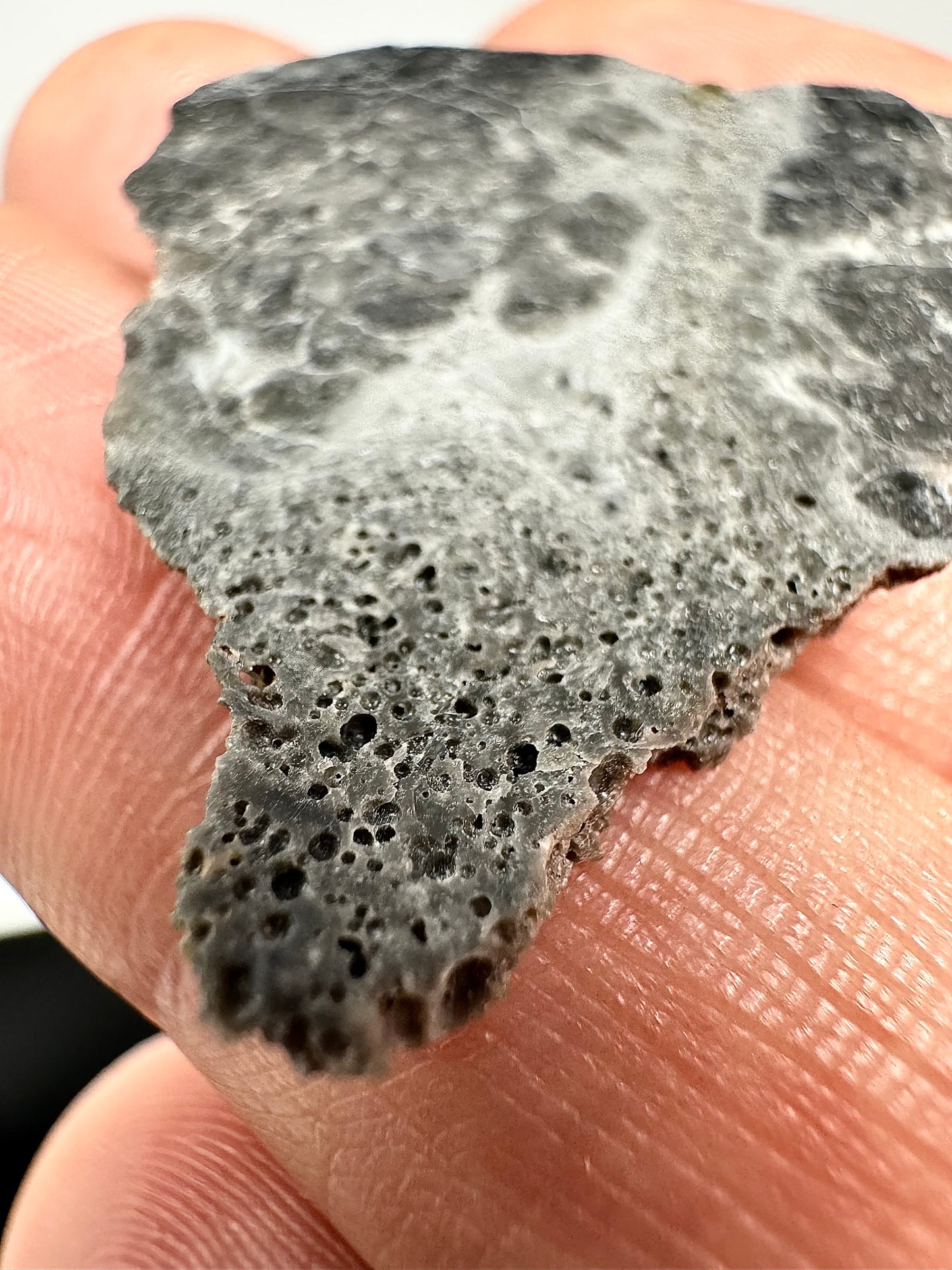4.0g Lunar Troctolitic Melt - Lots Of Vesicles Present Throughout! A Rare Lunar Meteorite From The Moon