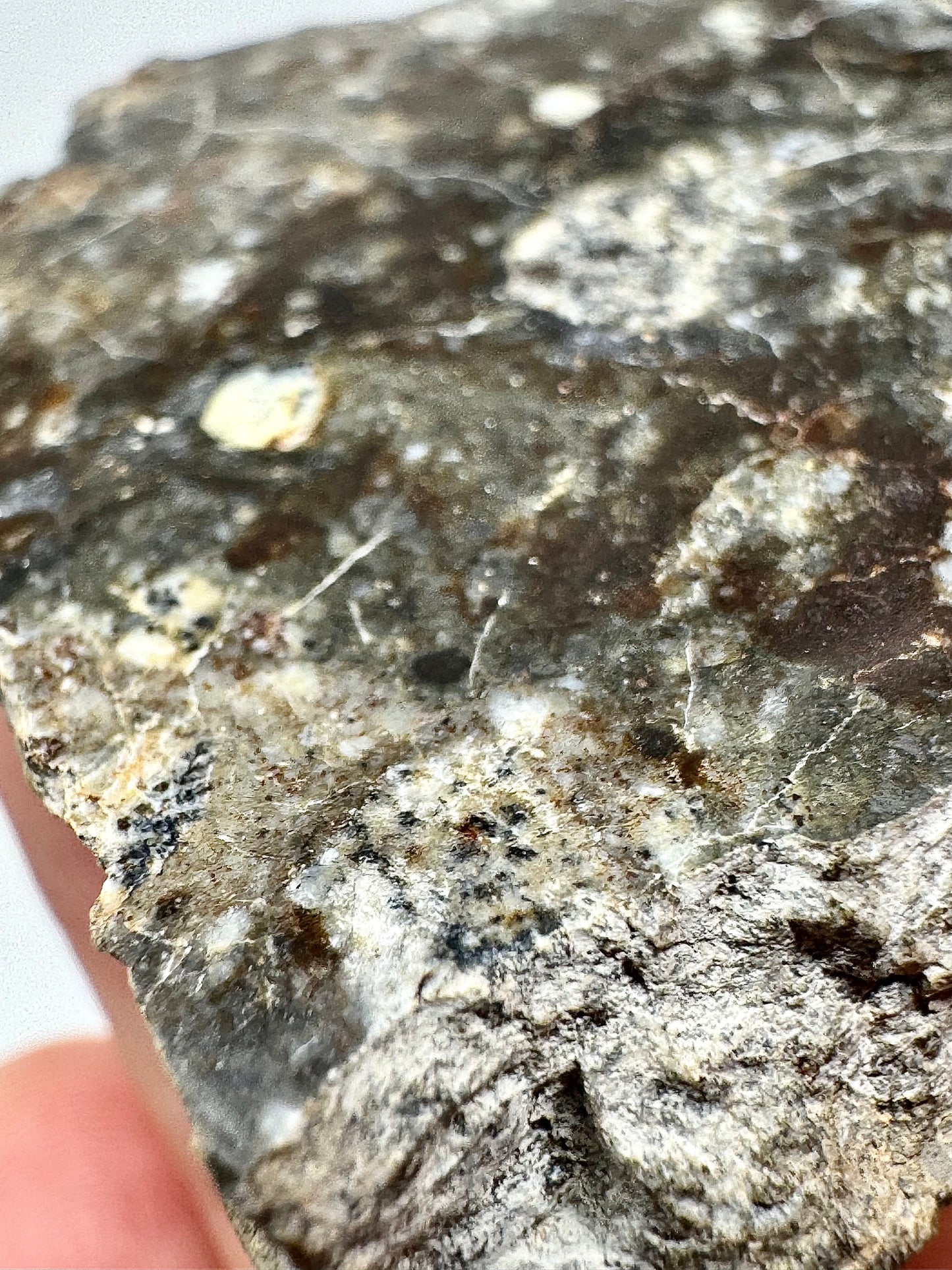 37.3g NWA 17270 Lunar Melt Breccia Meteorite END CUT - From Our Moon!