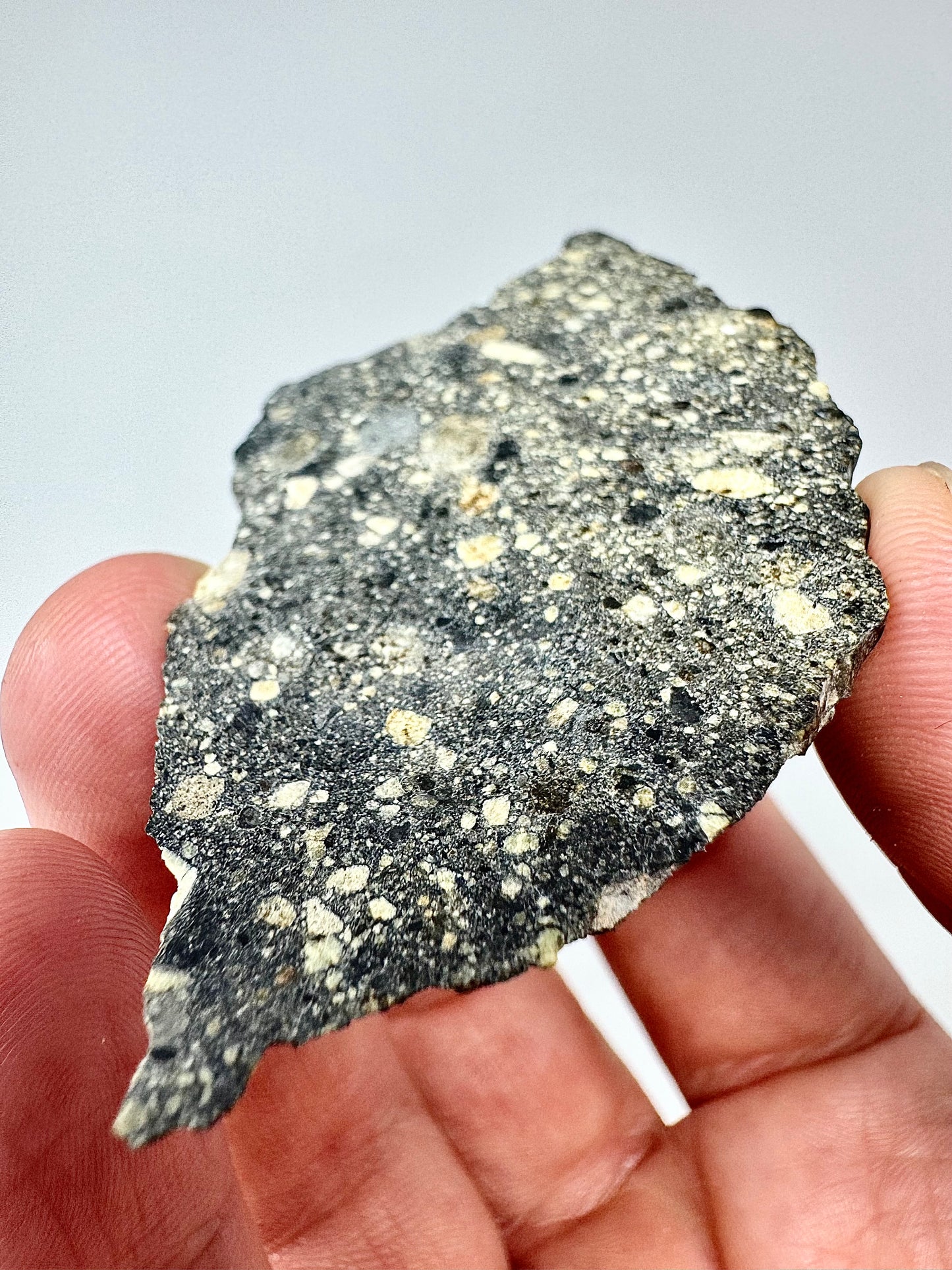 15.0g Stunning Diogenite Meteorite Under Classification - Beautiful Matrix! Parent Body: Asteroid Vesta