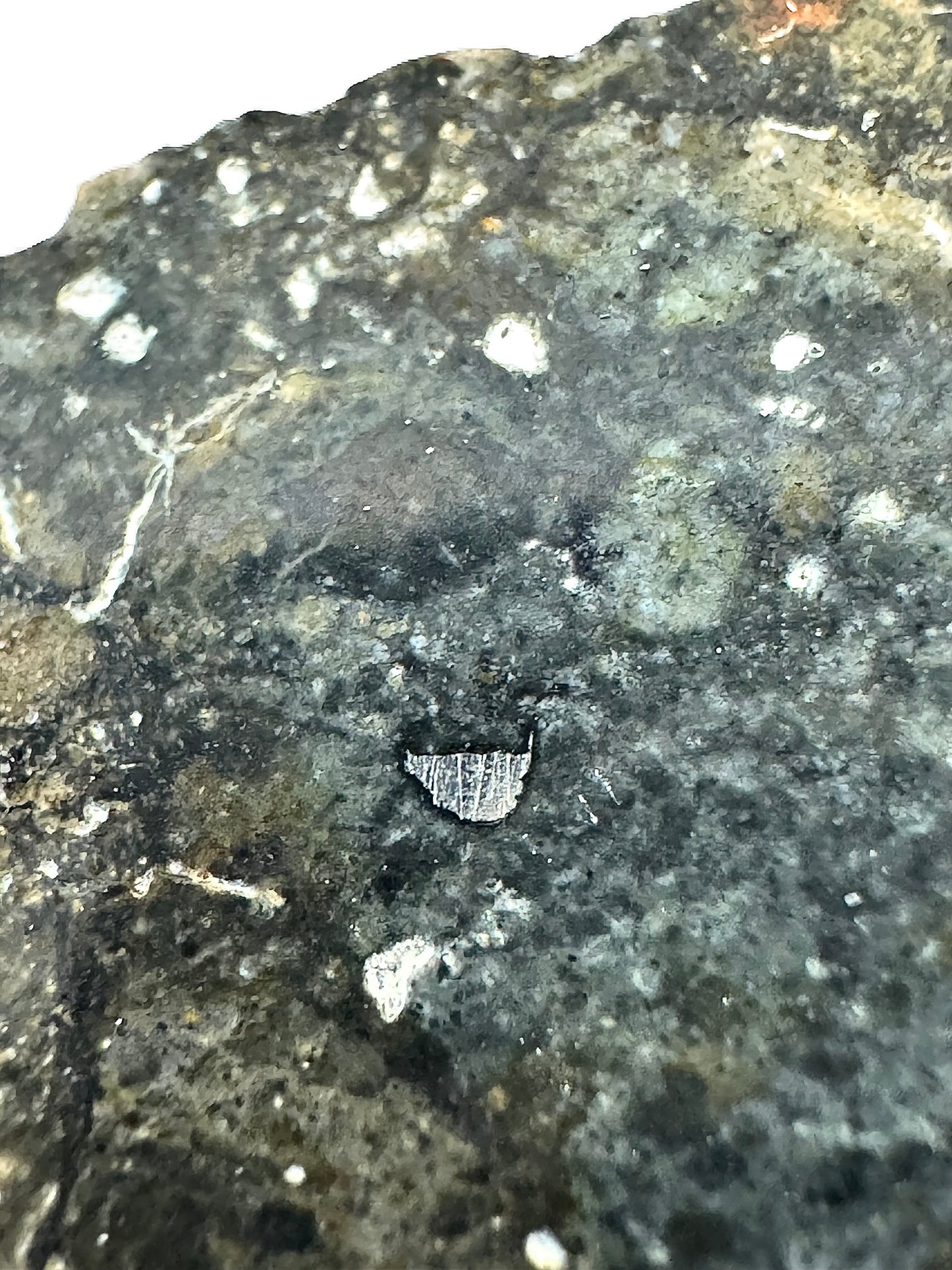 4.1g NWA 17680 “The Blue Lunar” Breathtaking Lunar Melt Breccia With Blue Tint, Vugs and Metal Impactors! A Genuine Stone From Our Moon!