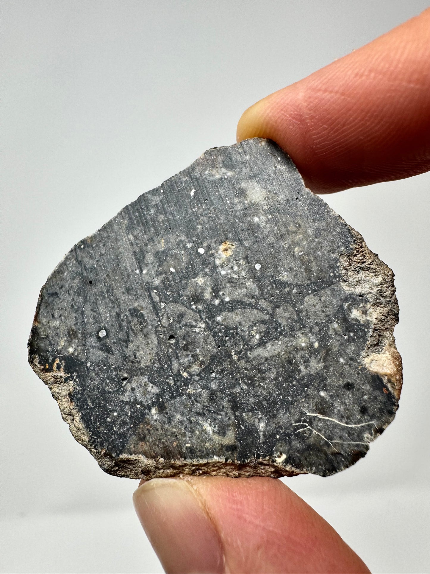 NEW: Lunar Meteorite Pending Classification - 6.7g - A Genuine Piece Of Our Moon!
