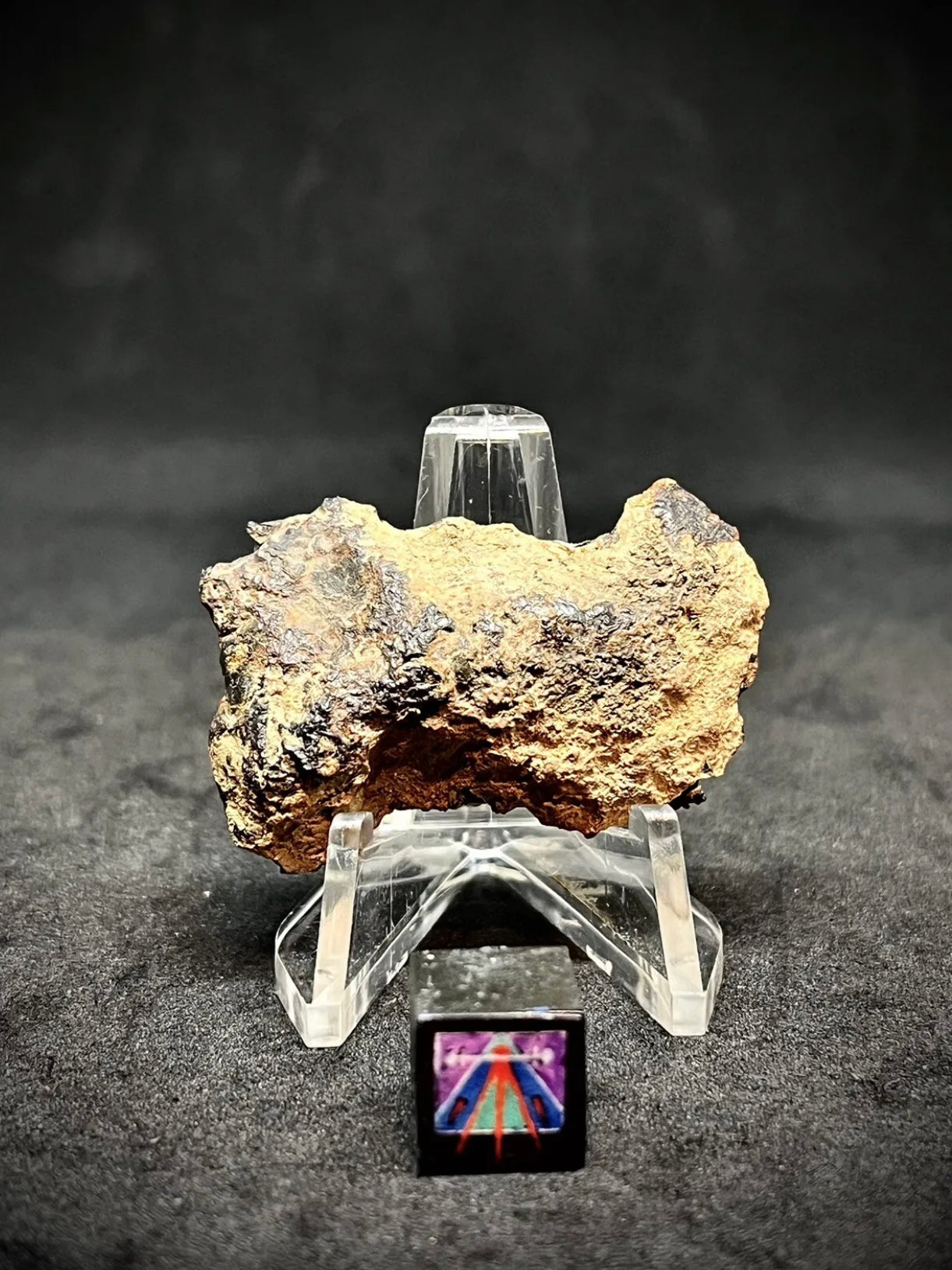 Hassi El Biod 002 Meteorite 14.7g End Cut - A Rare, Ungrouped Olivine-Filled Pallasite!