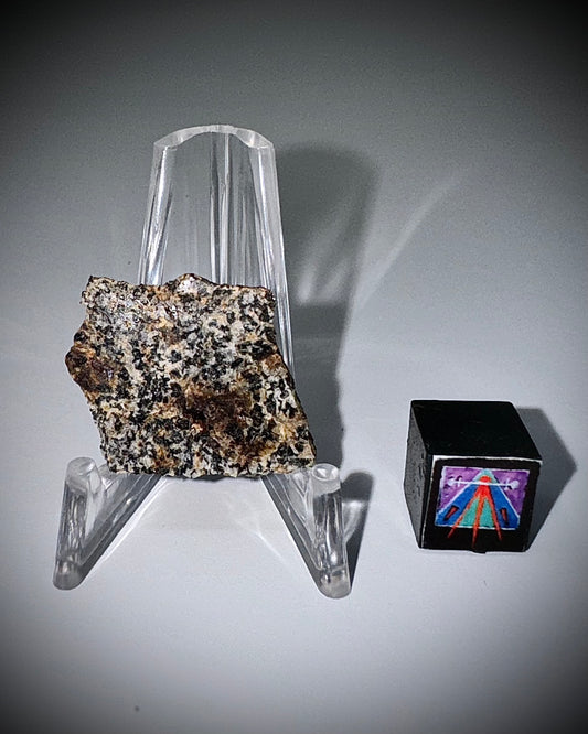 NWA 16312 Eucrite Meteorite - 2.6g - Part Of The HED Group