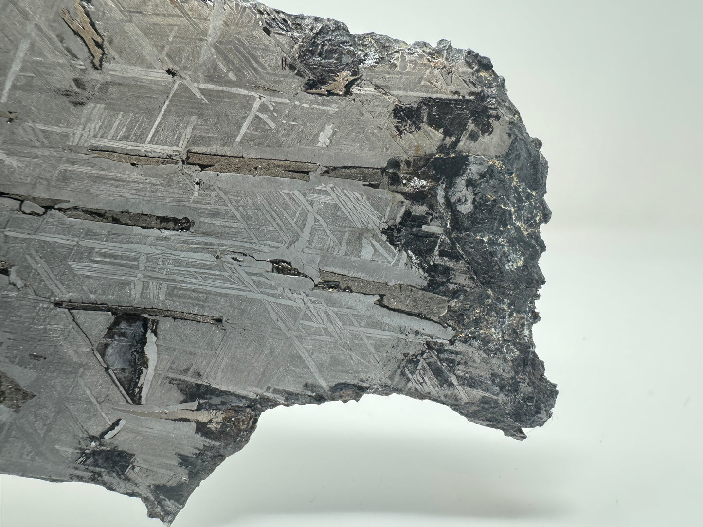 Aletai Meteorite - 278.9g - Full Slice w/ Troilite Inclusion!
