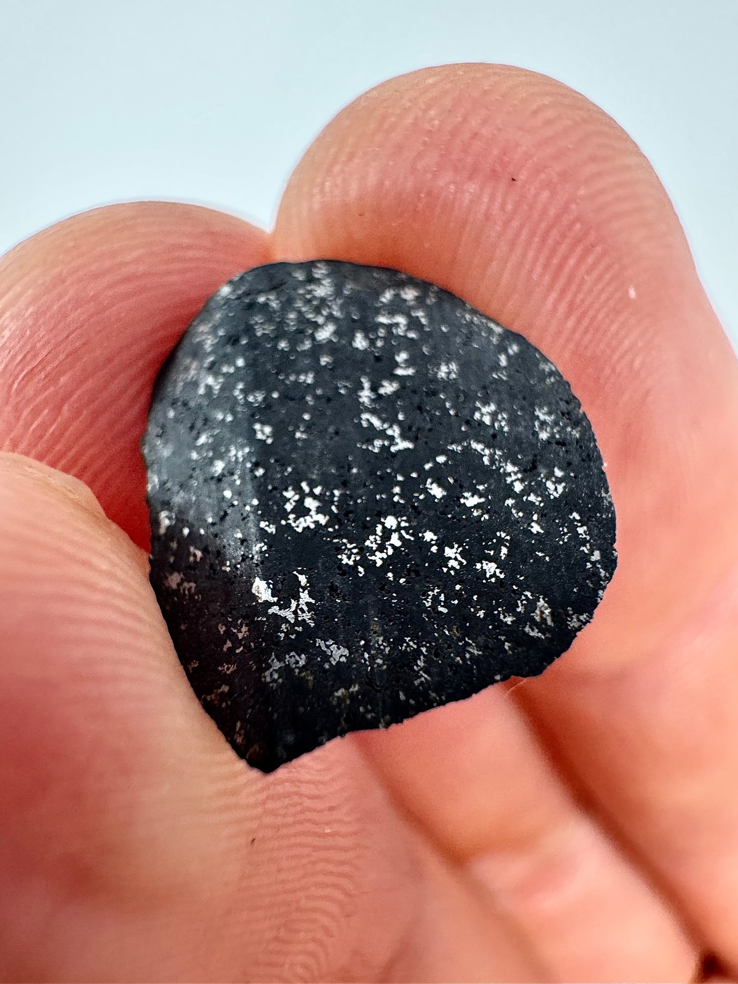 TASSÉDET 004 H5 Melt Breccia Meteorite - WHOLE STONE - Interior Is A River Of Molten Metal! From An Asteroid - 97.8g