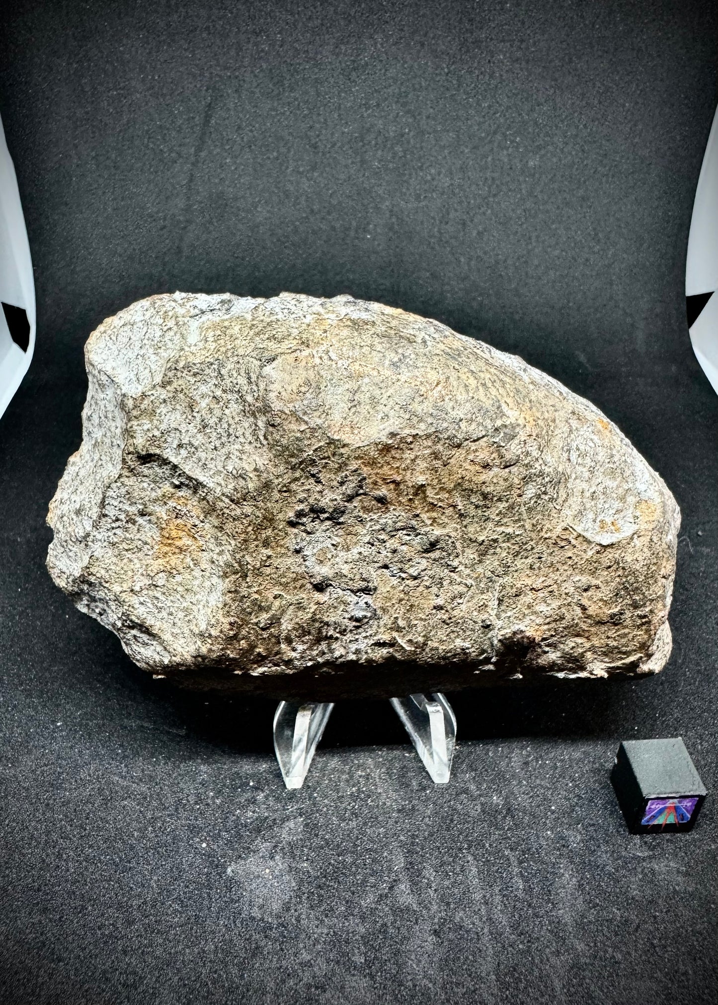 Aba Panu Meteorite - Tracked by NASA! Stunning Chondrules - 242.9g