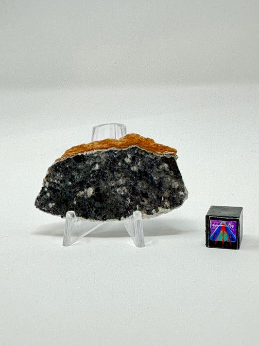 Bechar 003 Lunar Feldspathic Breccia - 5.4g - Full Slice/Polished on One Side