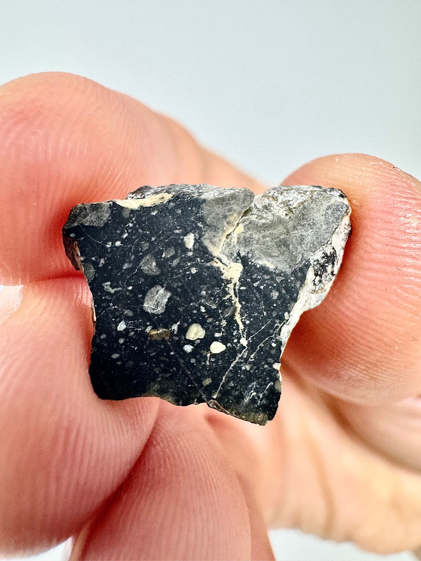 Mesmerizing NWA 13951 “Starry Night” Lunar Meteorite Slice - 1.4g