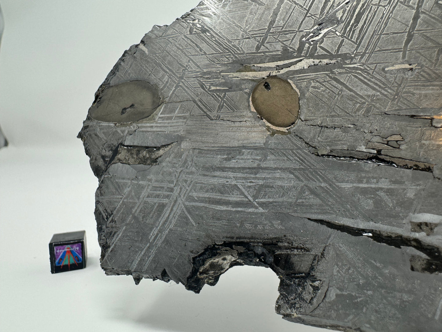 Aletai Meteorite - 278.9g - Full Slice w/ Troilite Inclusion!