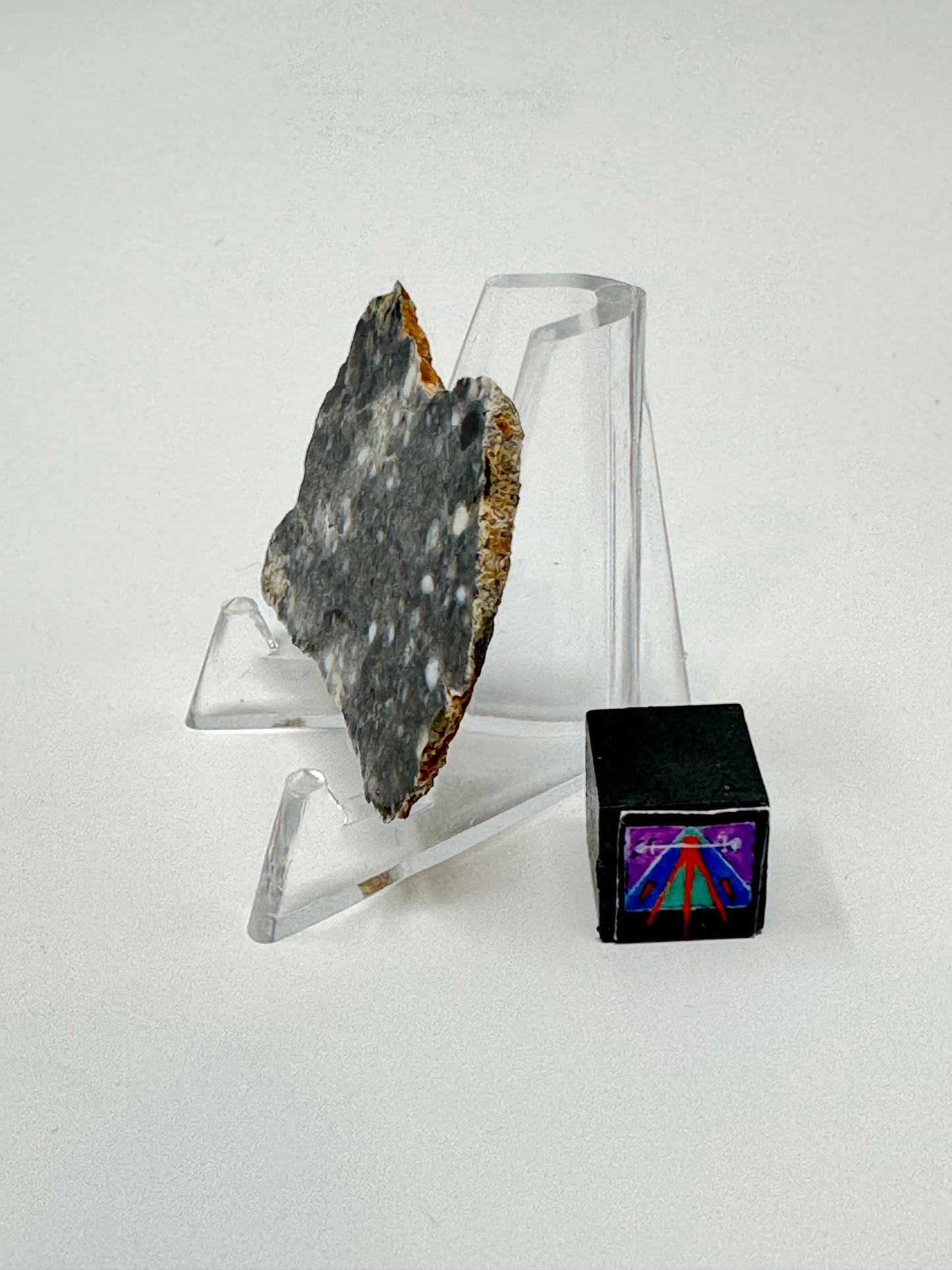 Bechar 003 Lunar Feldspathic Breccia - 4.8g - Full Slice/Polished on One Side