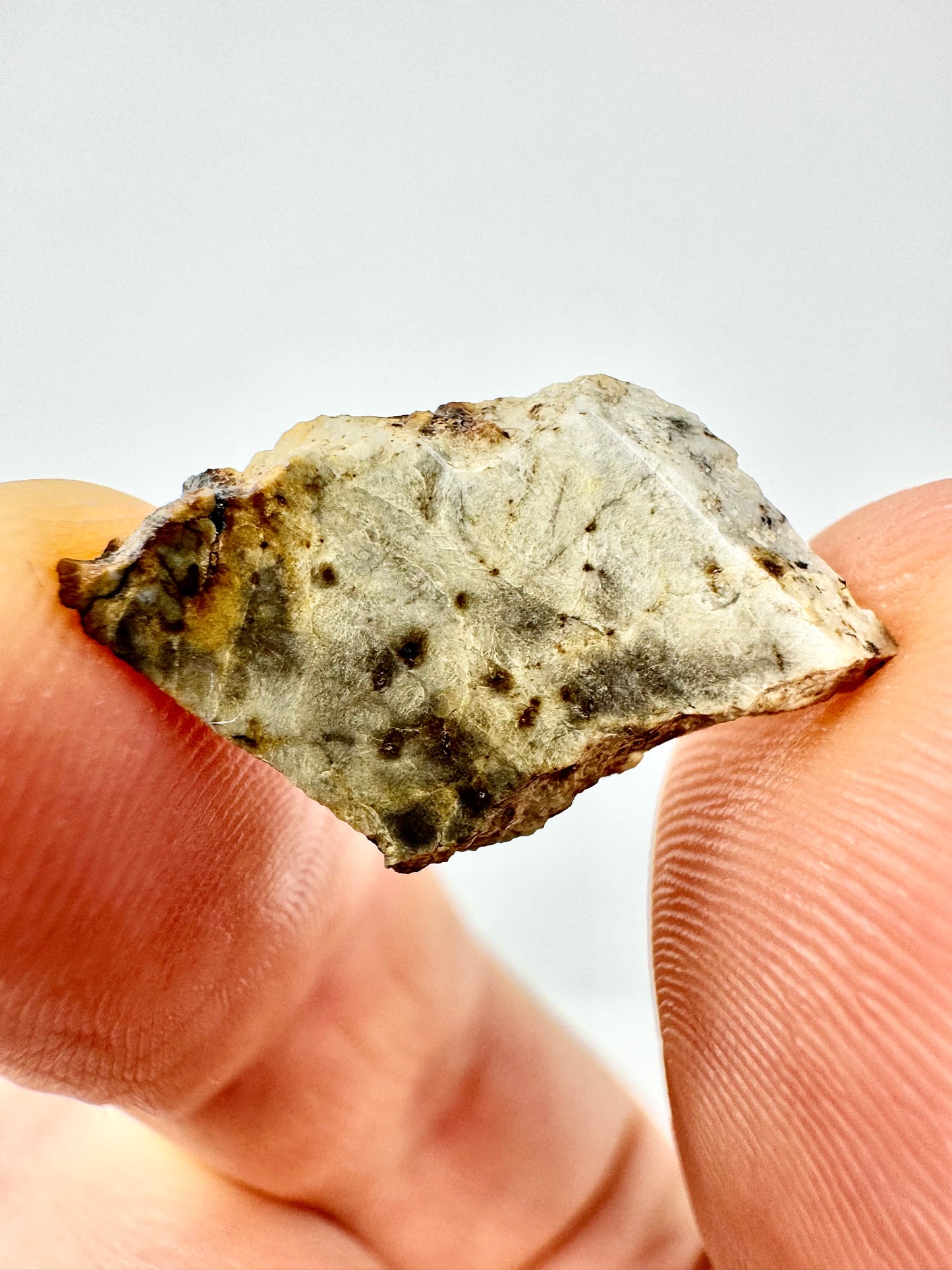 1.1g Djoua 001 Enstatite Achondrite Meteorite - Evidence of Planet Mercury - Marble Appearance