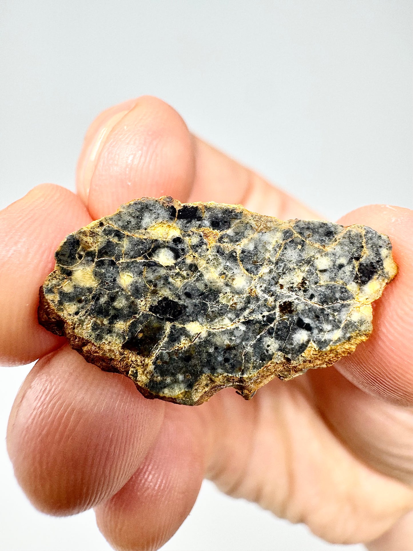 Adrar 013 Lunar Meteorite - A Rare Gabbro/Norite - From Our Moon! 2.2g