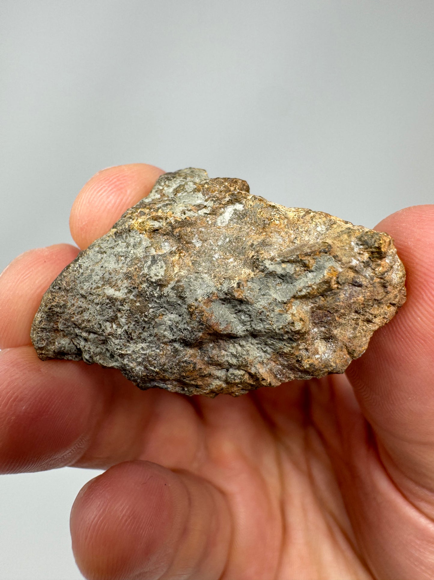 20.6g NWA 16317 Translucent Diogenite Meteorite - RARE END CUT! Parent Body: Asteroid Vesta