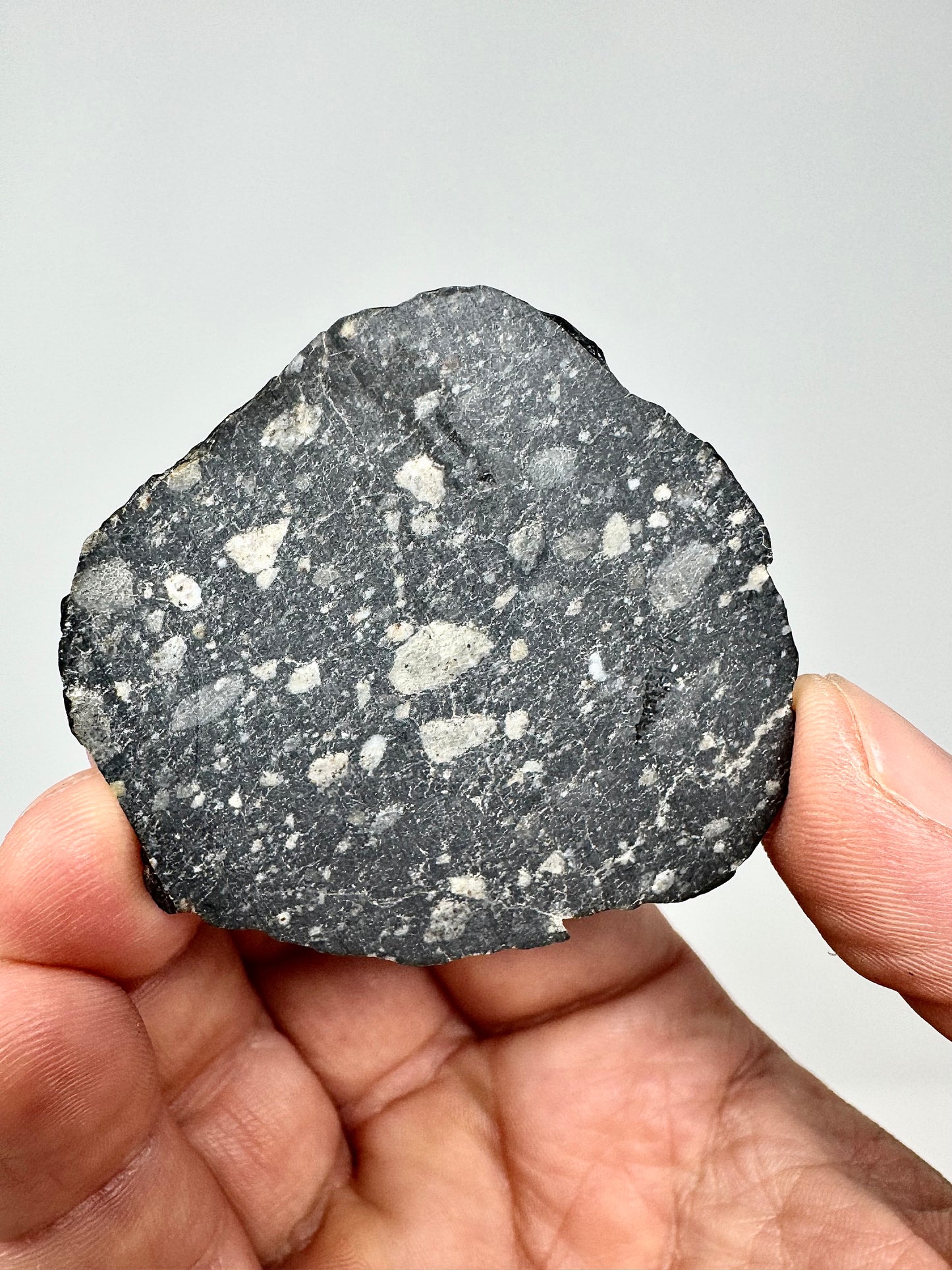 NEW! 8.3g Newly Discovered Lunar Breccia - FULL SLICE - A Genuine Piece Of Our Moon!