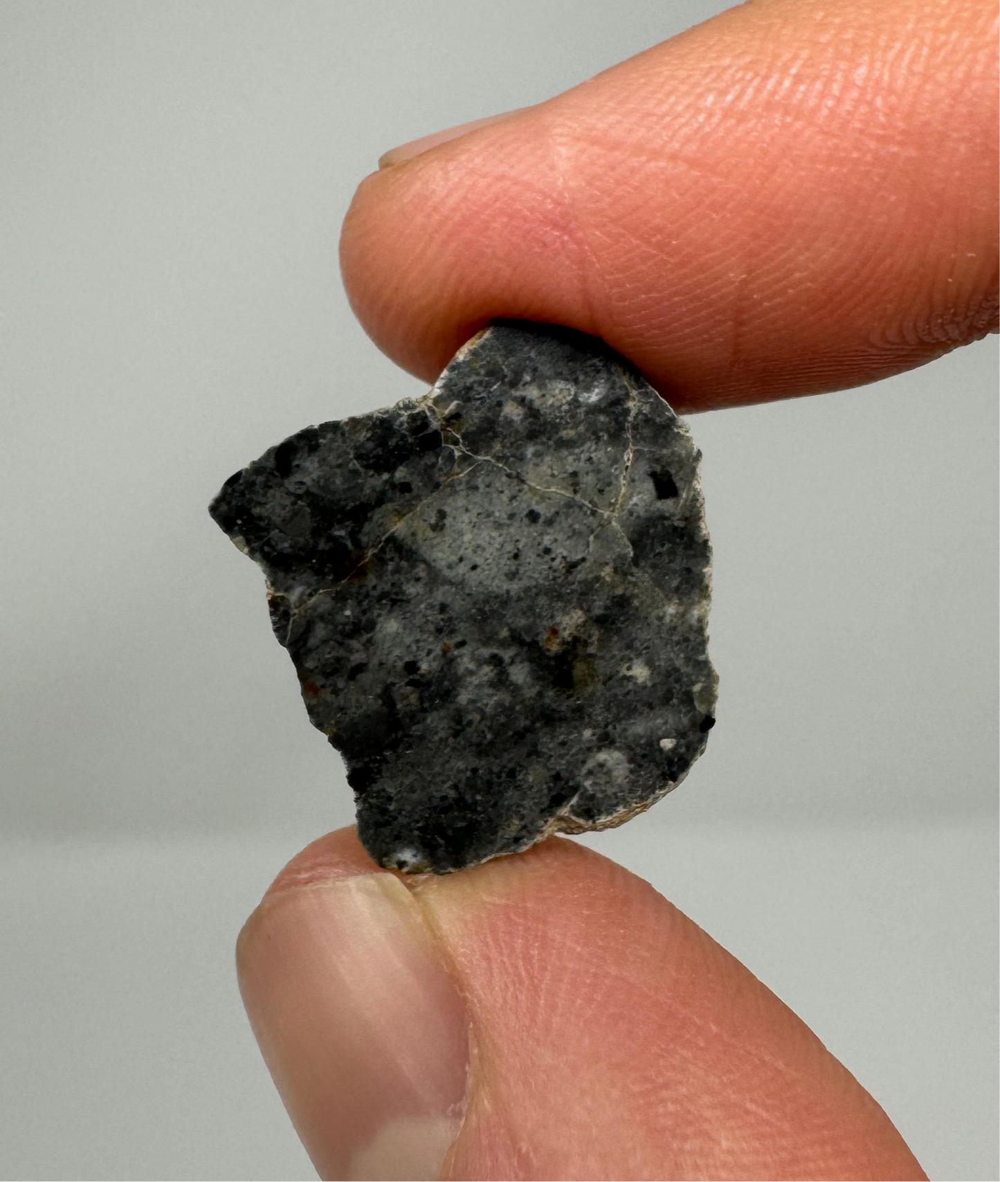 Bechar 003 Lunar Feldspathic Breccia End Cut - 4.1g - Polished