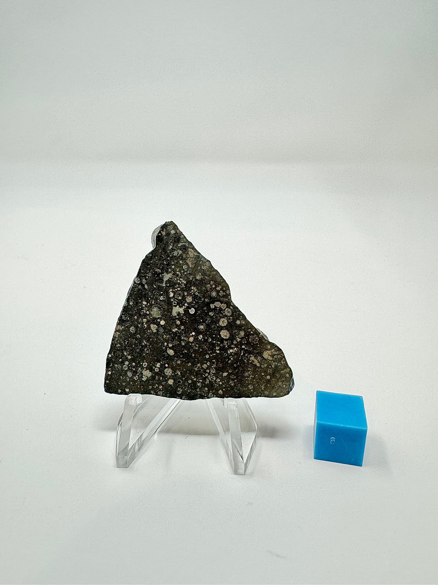CV3 Carbonaceous Chondrite Meteorite w/ HUGE CAI! 9.9g