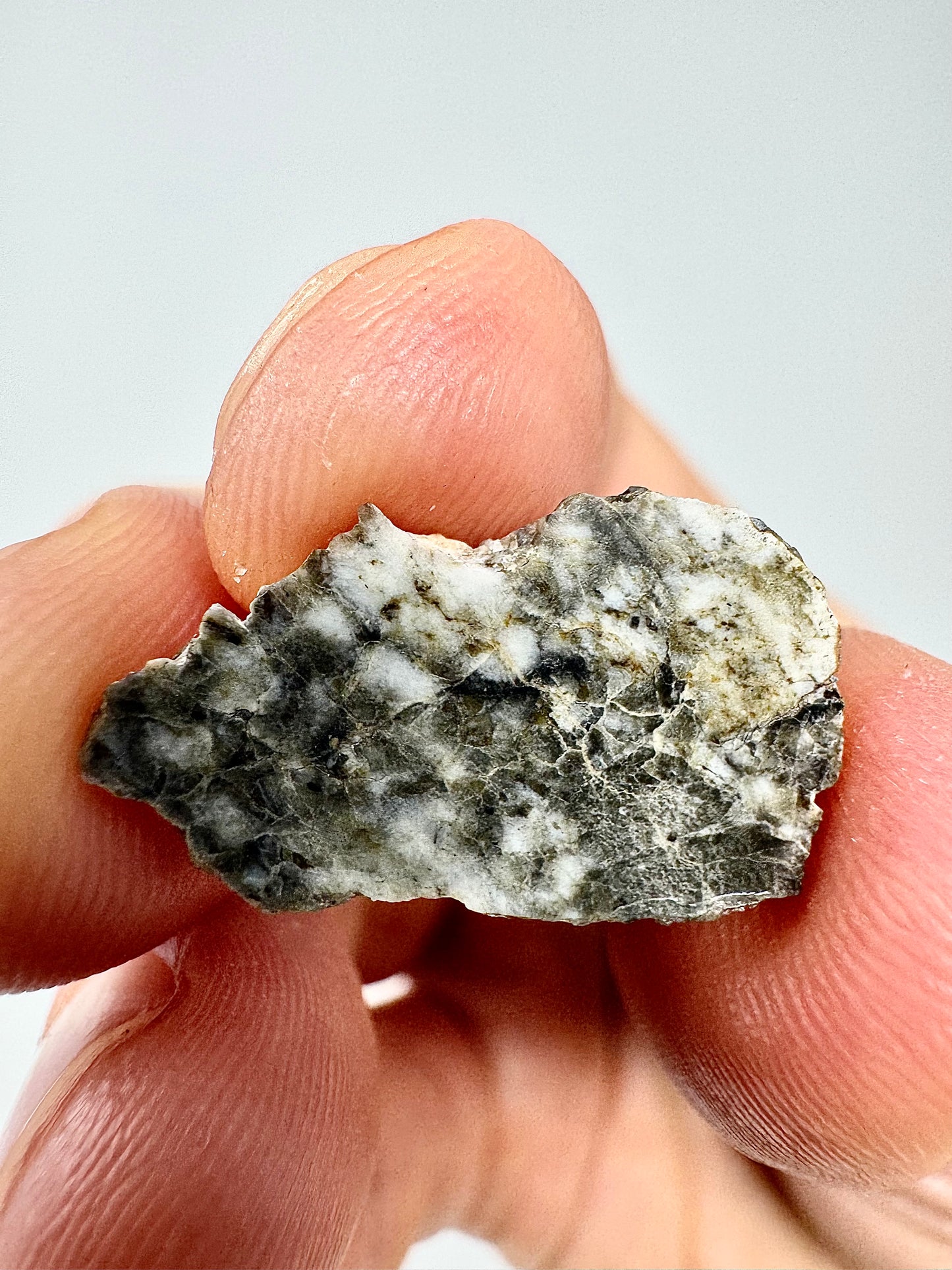 NWA 17270 Lunar Meteorite - Stunning, Colorful - From Our Moon! 1.2g