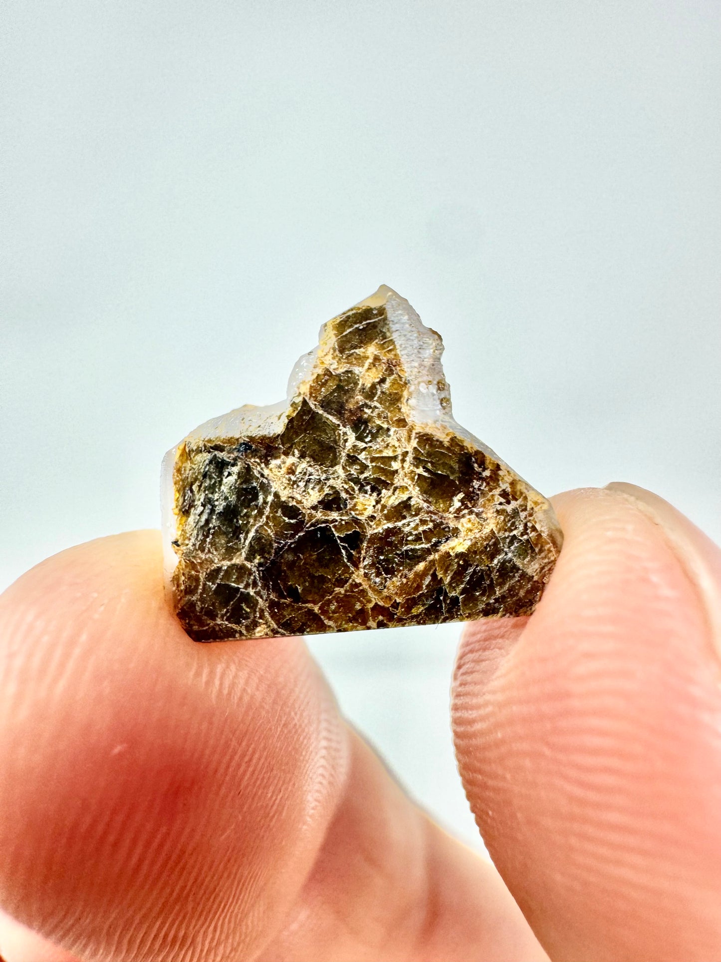 0.9g NWA 16317 Diogenite Meteorite - Parent Body: Asteroid Vesta