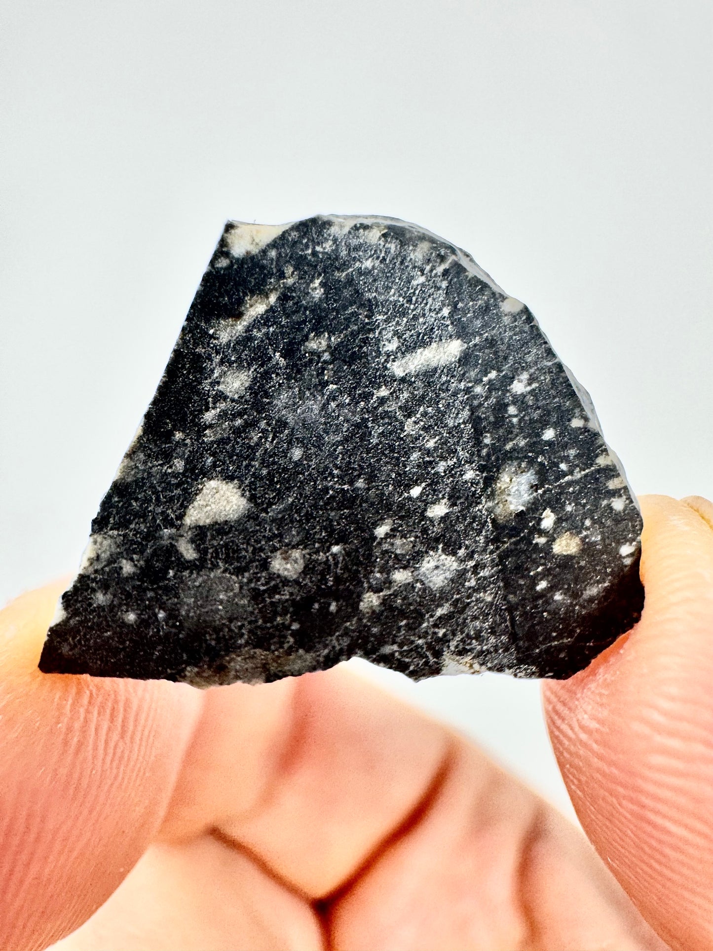 NEW! 1.6g Newly Discovered Lunar Breccia - A Genuine Piece Of Our Moon!