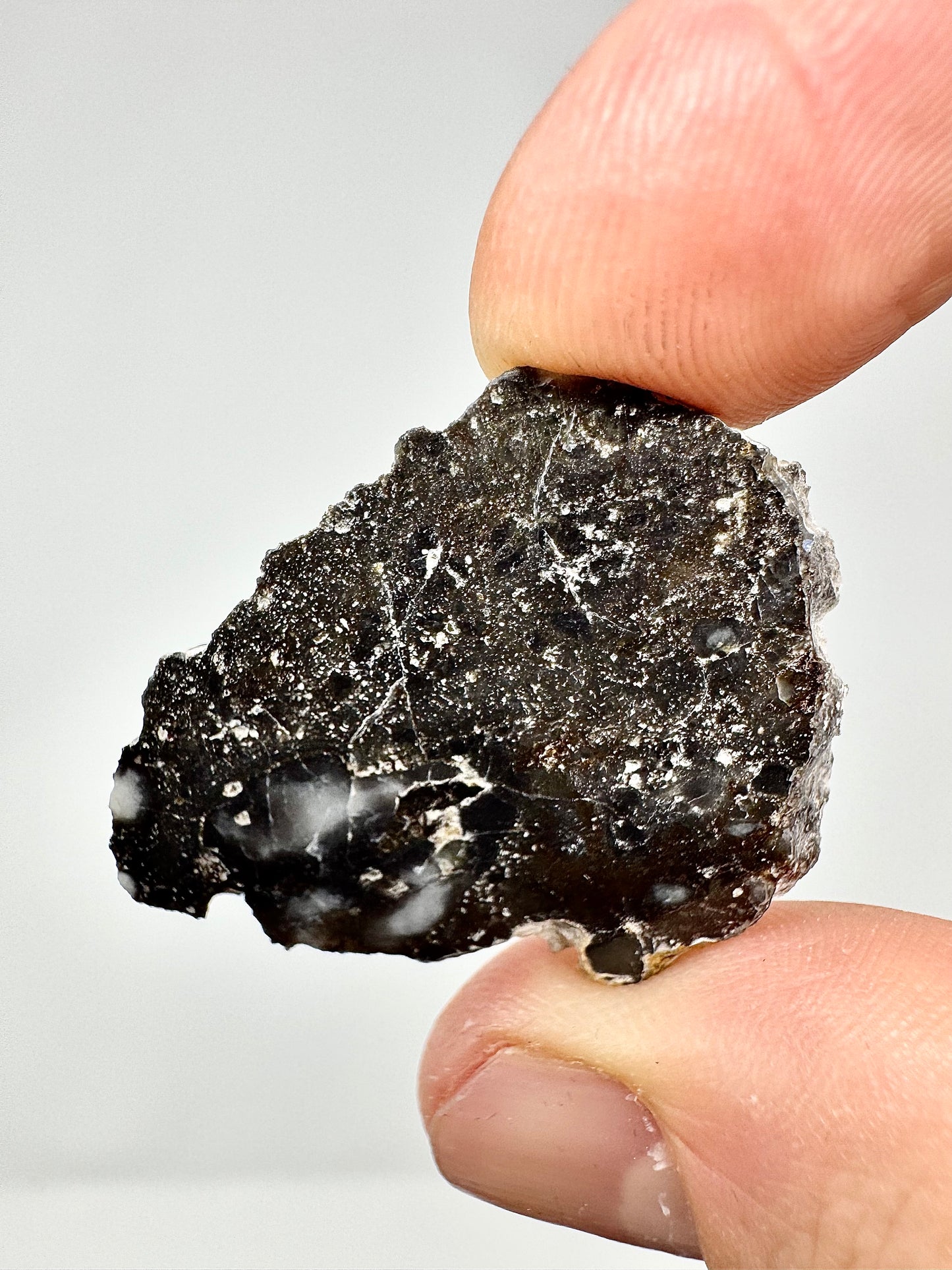 4.0g NWA 17270 Lunar Meteorite - From Our Moon!