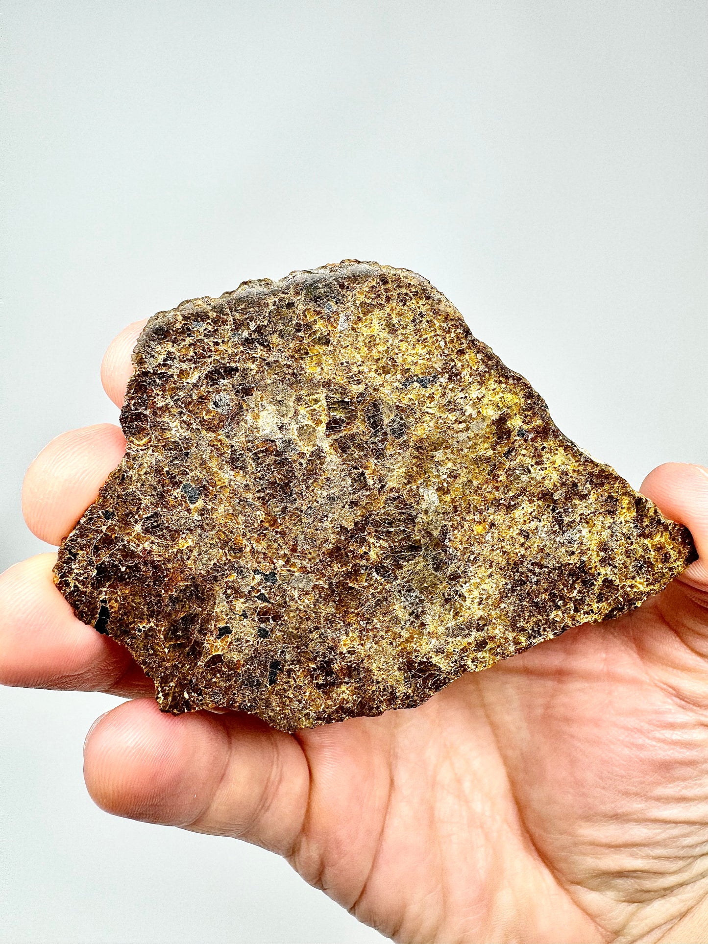 15.3g NWA 16317 Translucent Diogenite Meteorite - Parent Body: Asteroid Vesta