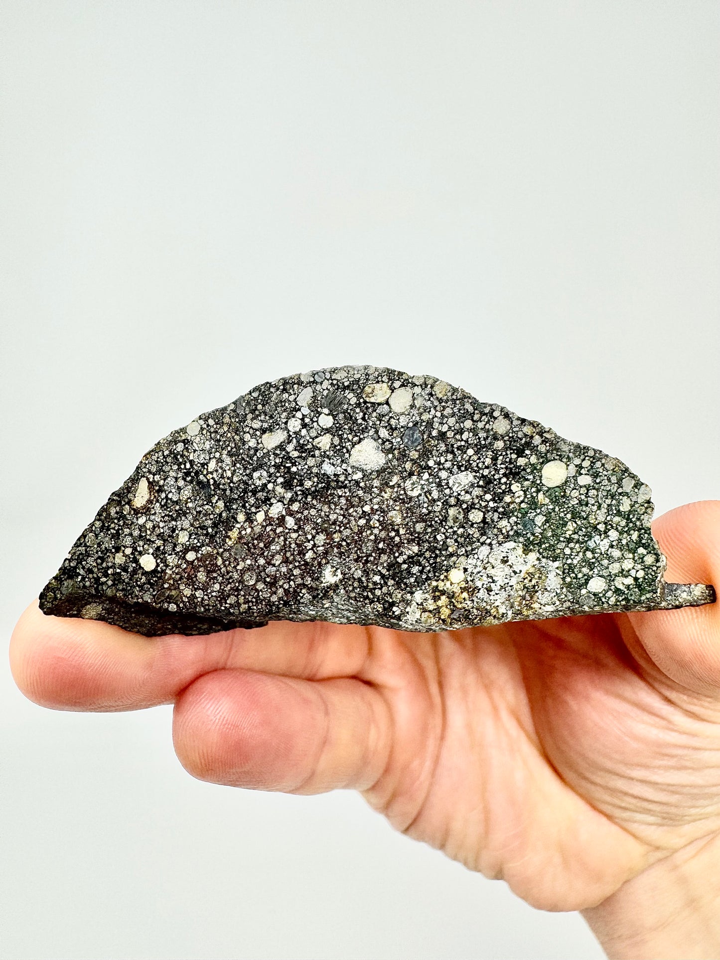 Aba Panu Meteorite End Cut - Tracked by NASA! Stunning Chondrules - 29.8g