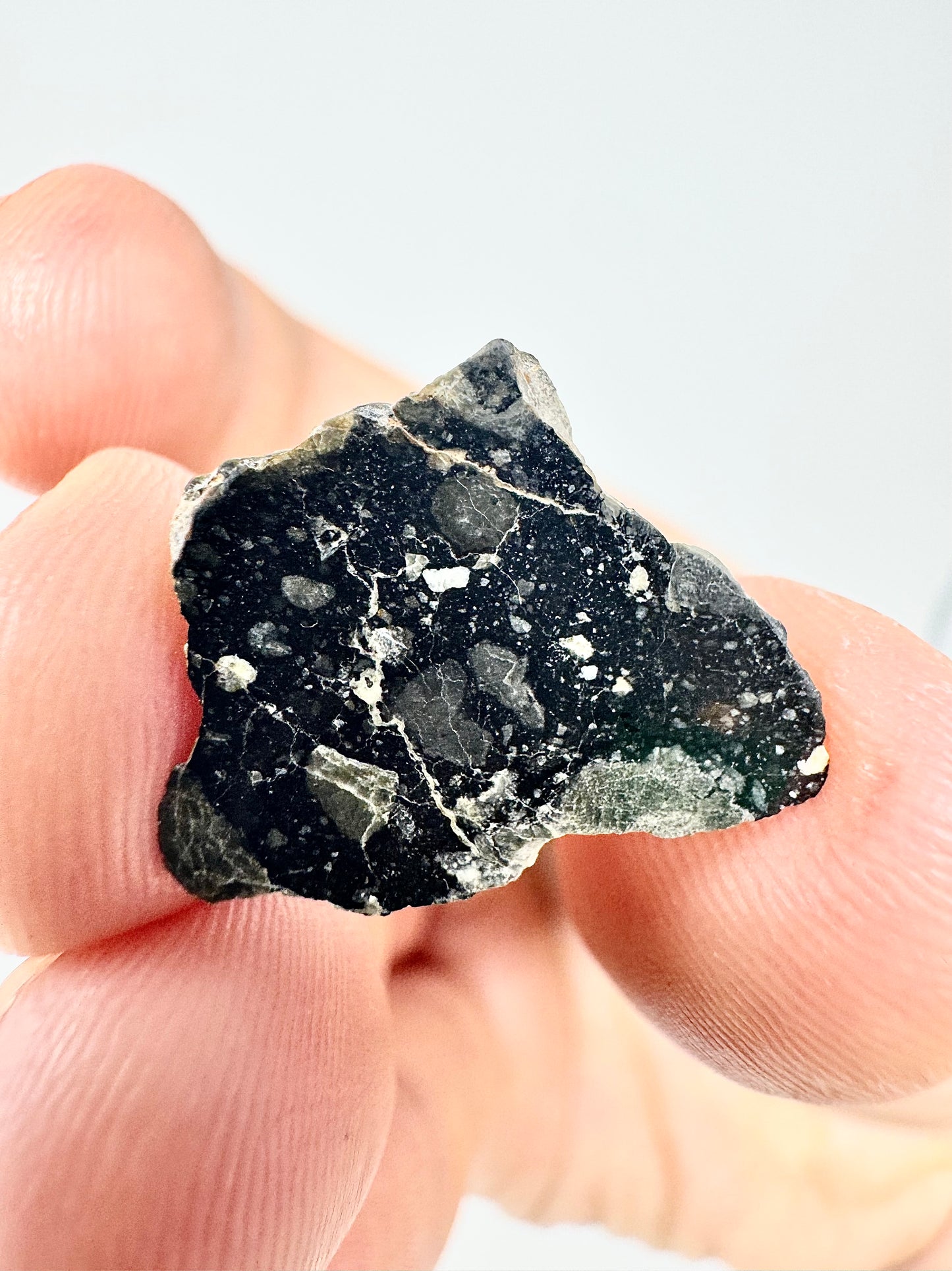 Mesmerizing NWA 13951 “Starry Night” Lunar Meteorite Slice - 1.4g