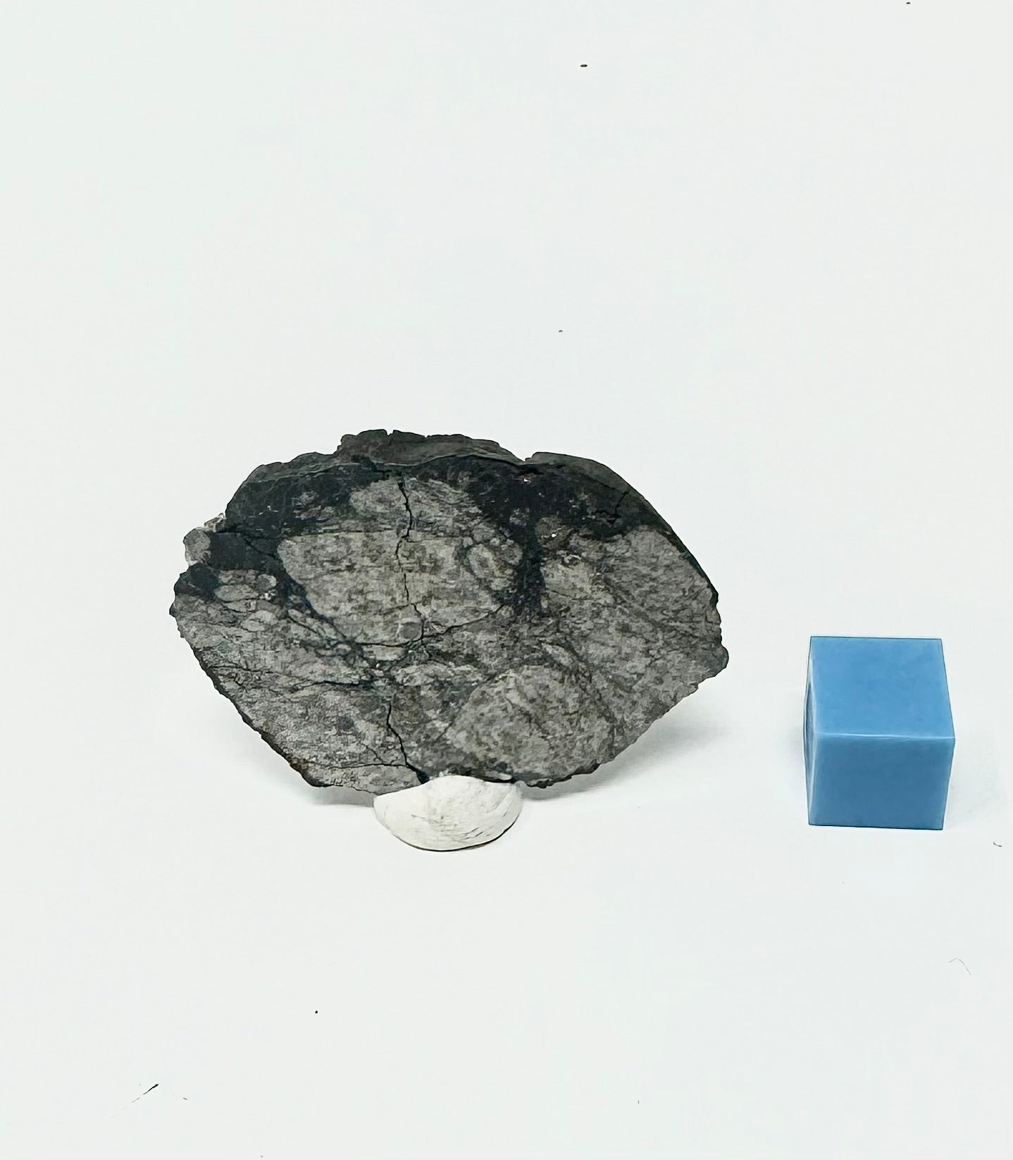 9.9g Chelyabinsk Full Slice Brecciated Meteorite - Jet Black Crust - Incredibly Fresh and Discovered Immediately After the Fall!