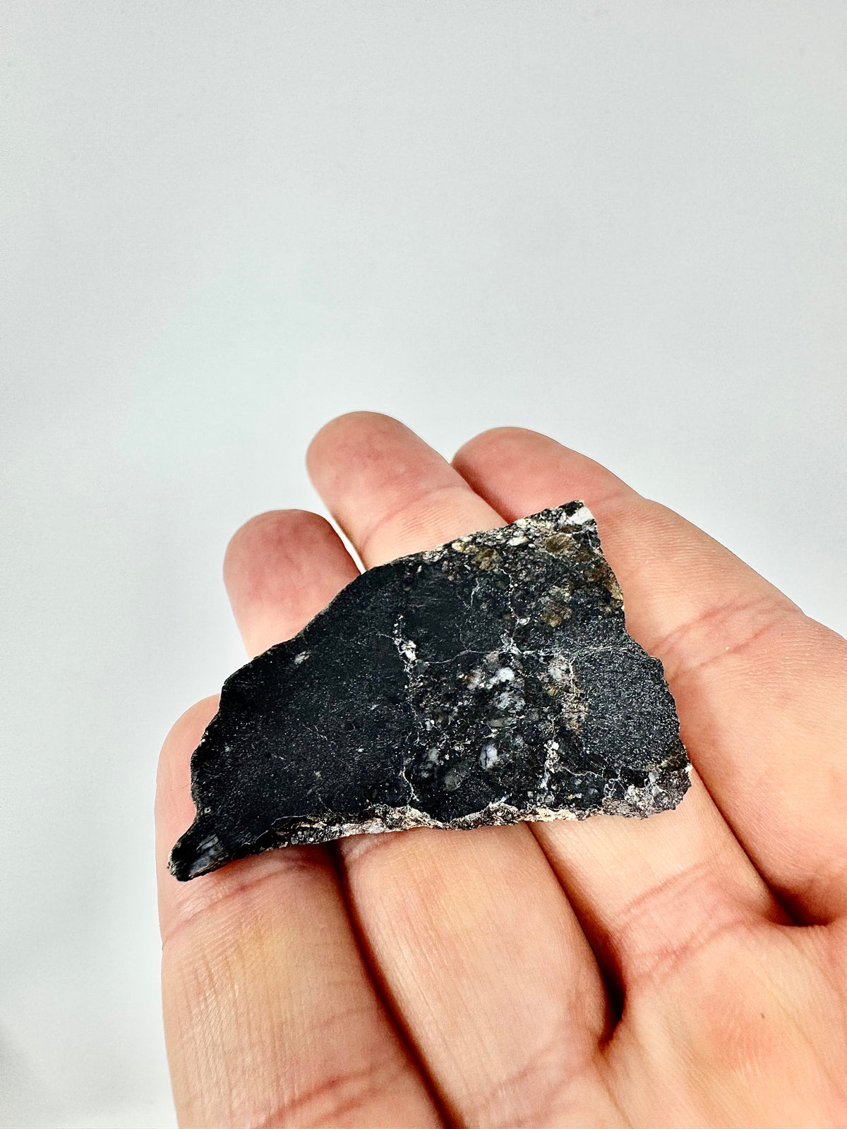 NEW: 10.5g Jaw-Dropping Personal Classification of NWA 18785 Aubrite - Fragmental Monomict Breccia, Enstatite Achondrite Meteorite - Evidence of Possible Linkage To Planet Mercury